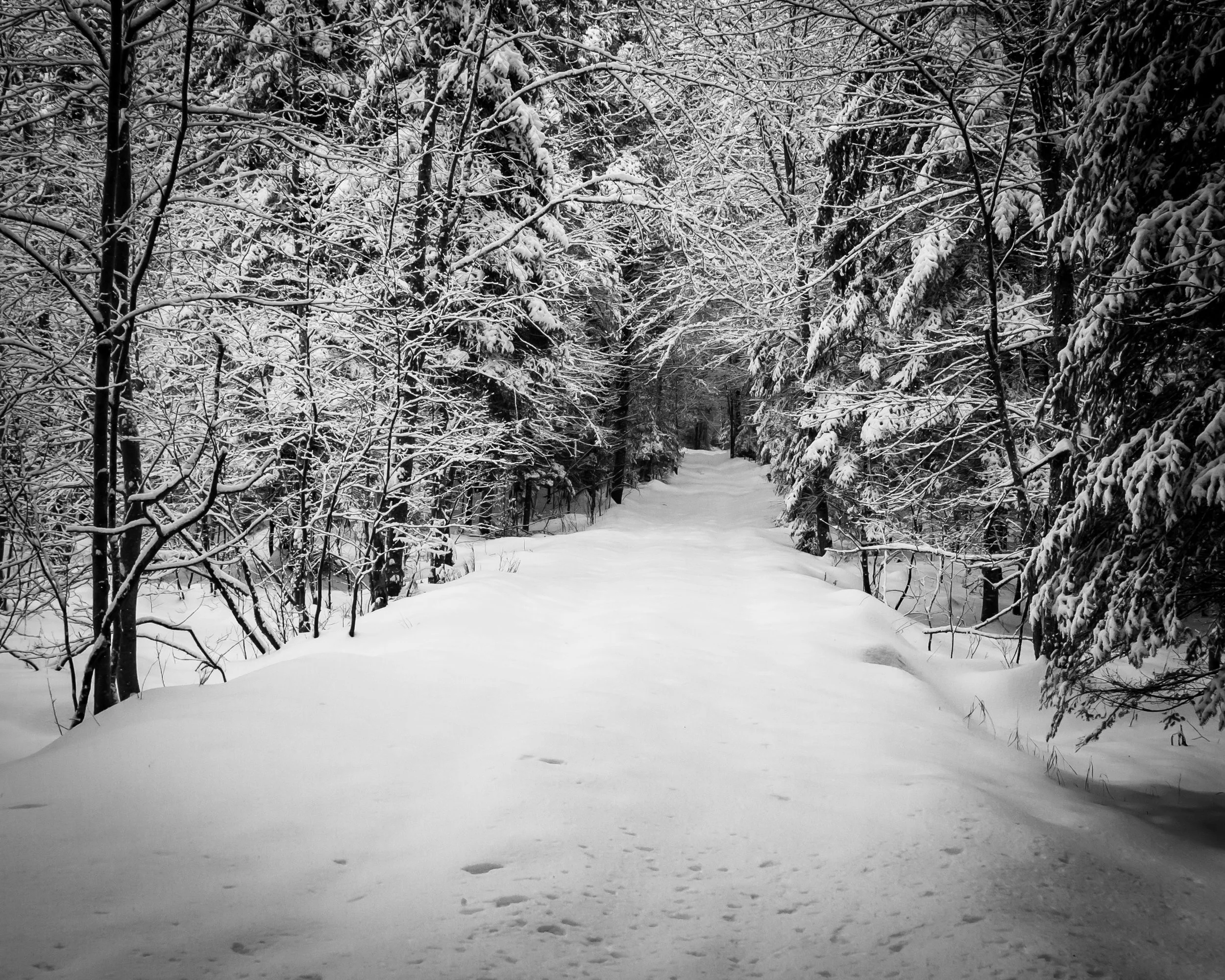 Photo by Paul Varnum on Unsplash