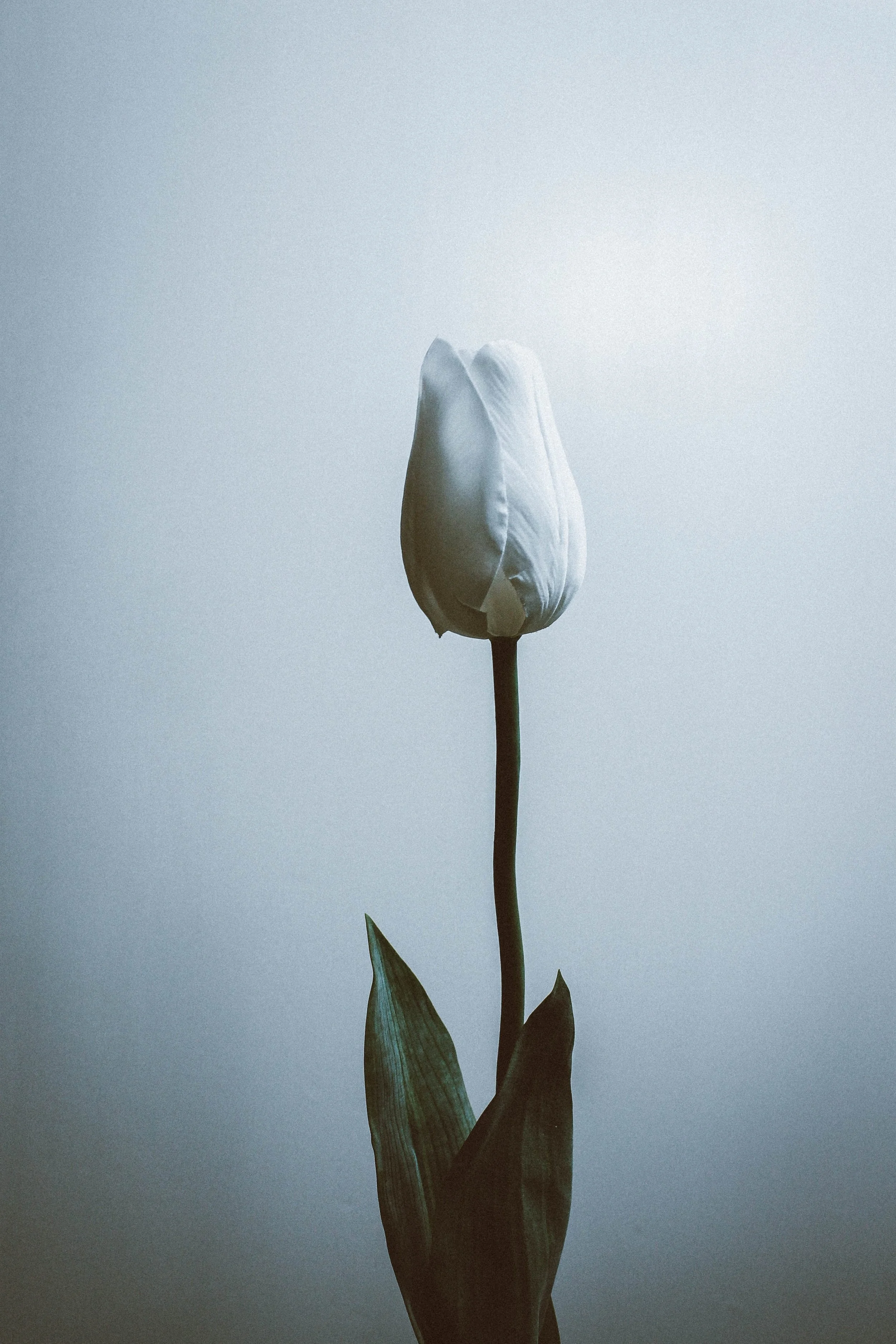 Photo by Gabrielle Rocha Rios on Unsplash