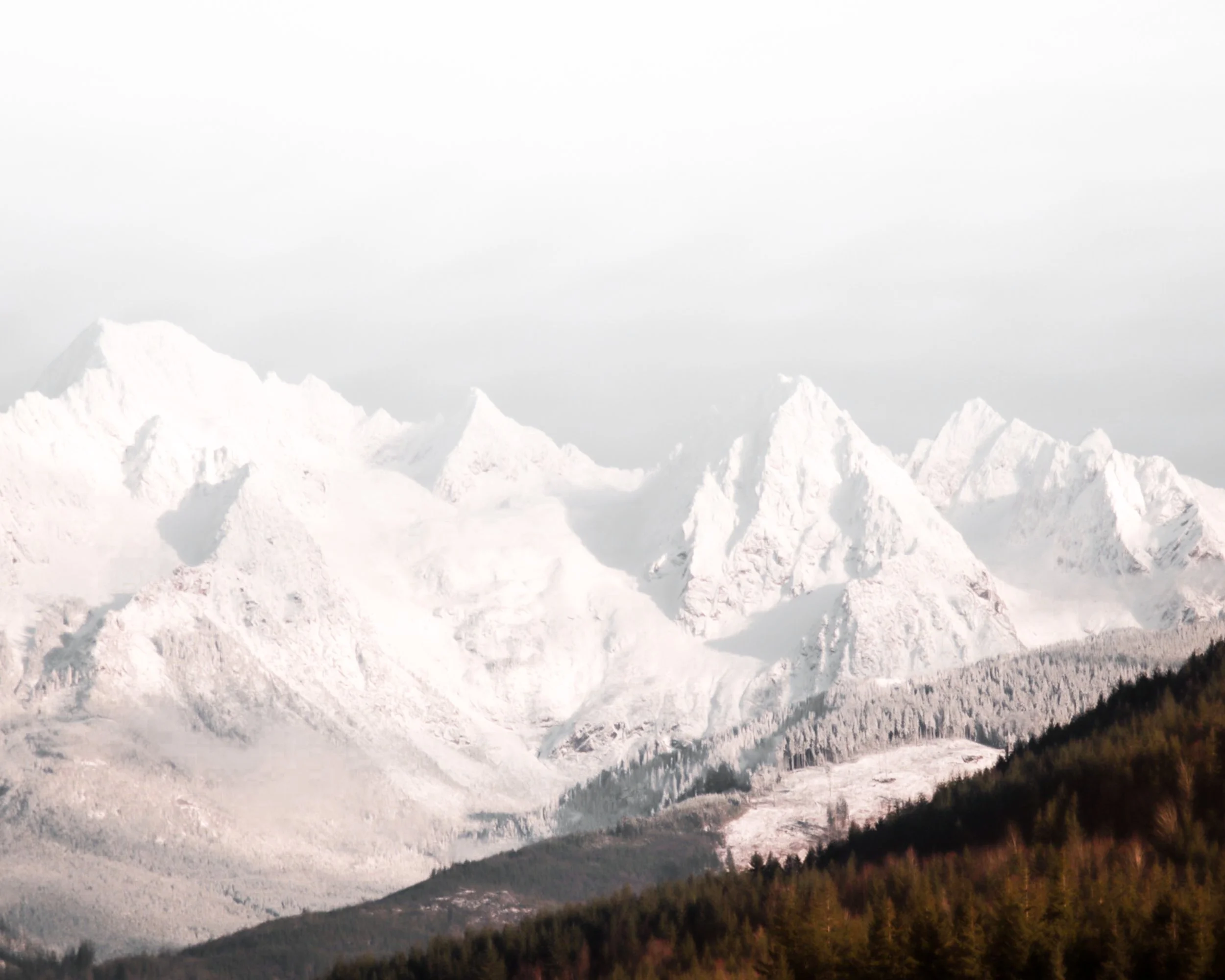 Photo by Jenny Caywood on Unsplash
