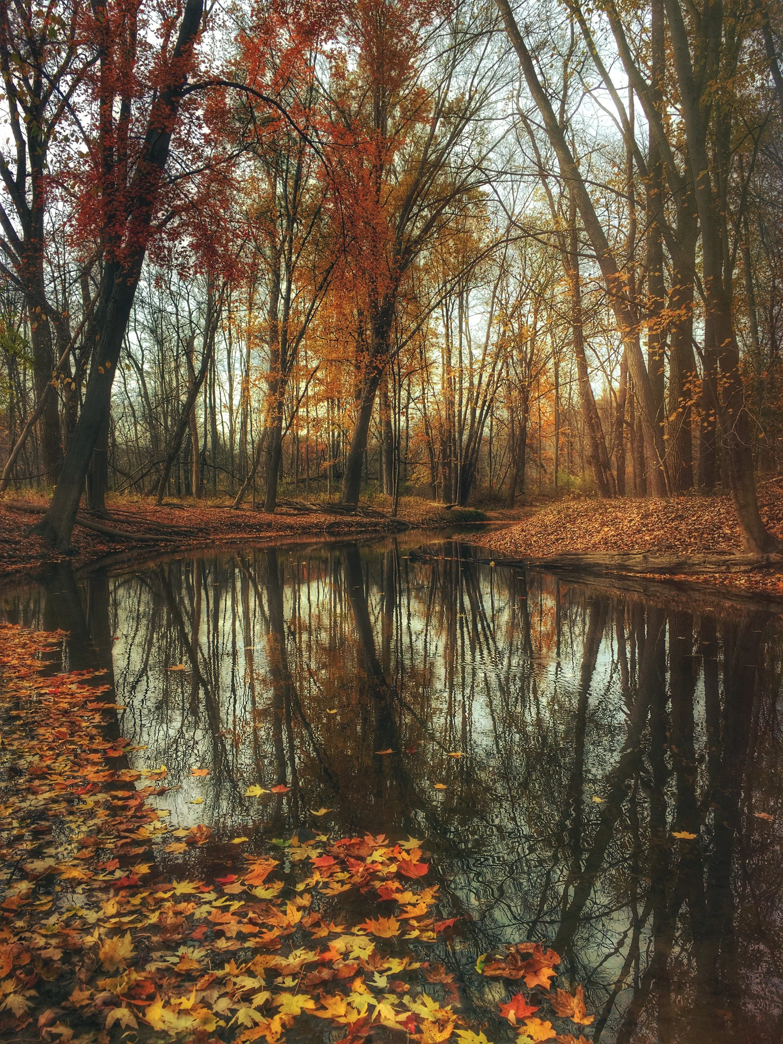 aaron-burden-41821-unsplash.jpg
