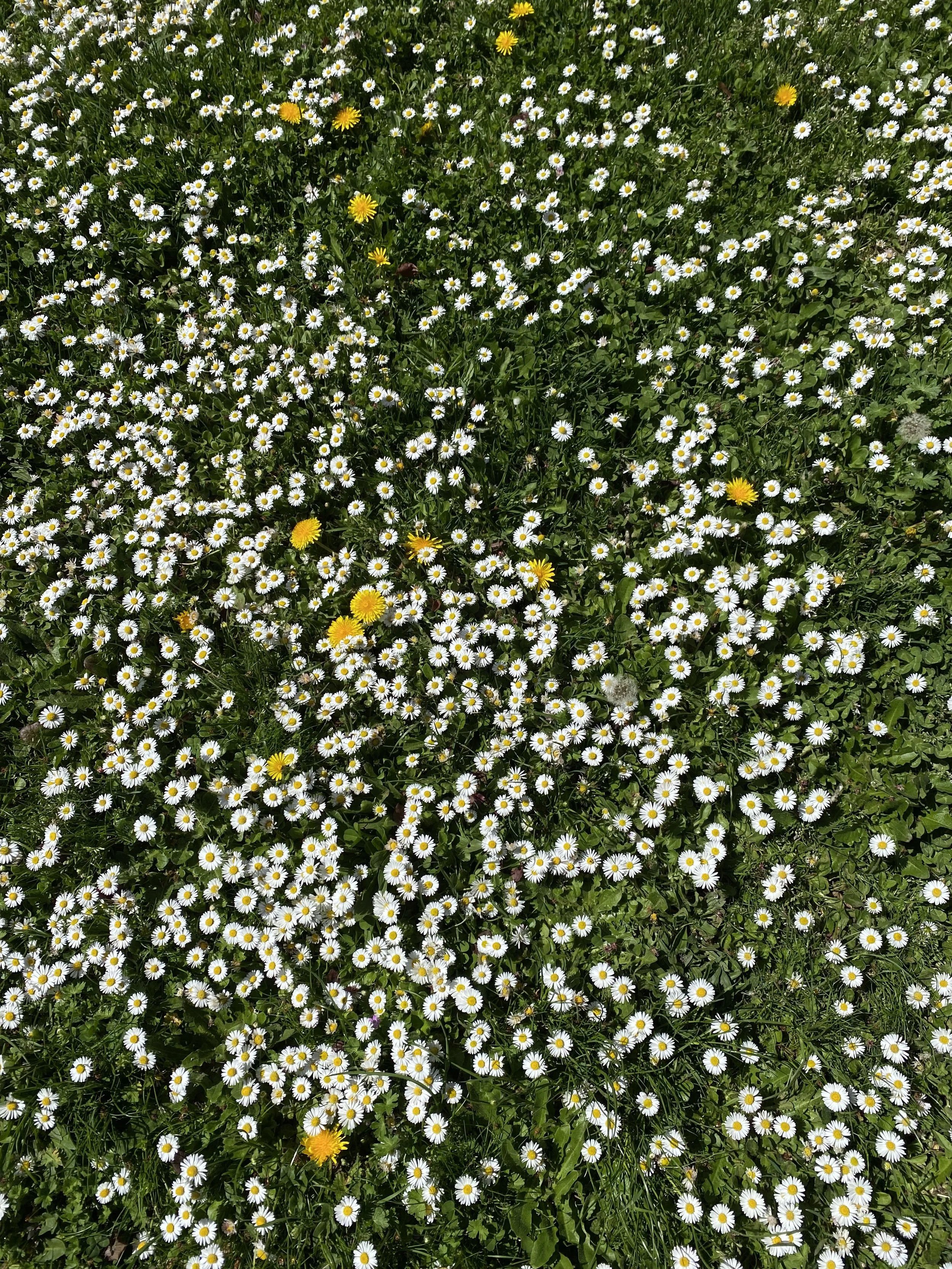 Does The World Even Need What You’ve Got?