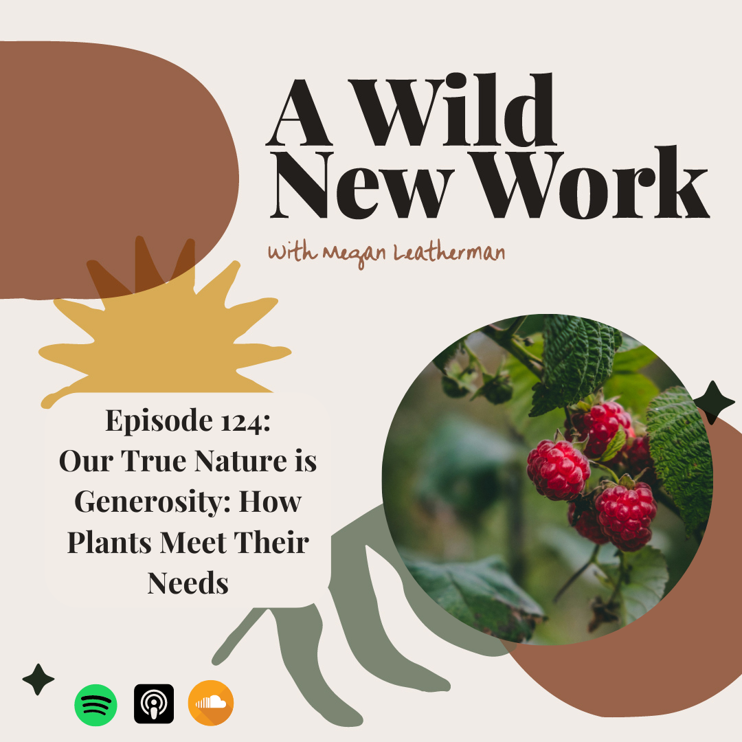 Our True Nature is Generosity: How Plants Meet Their Needs