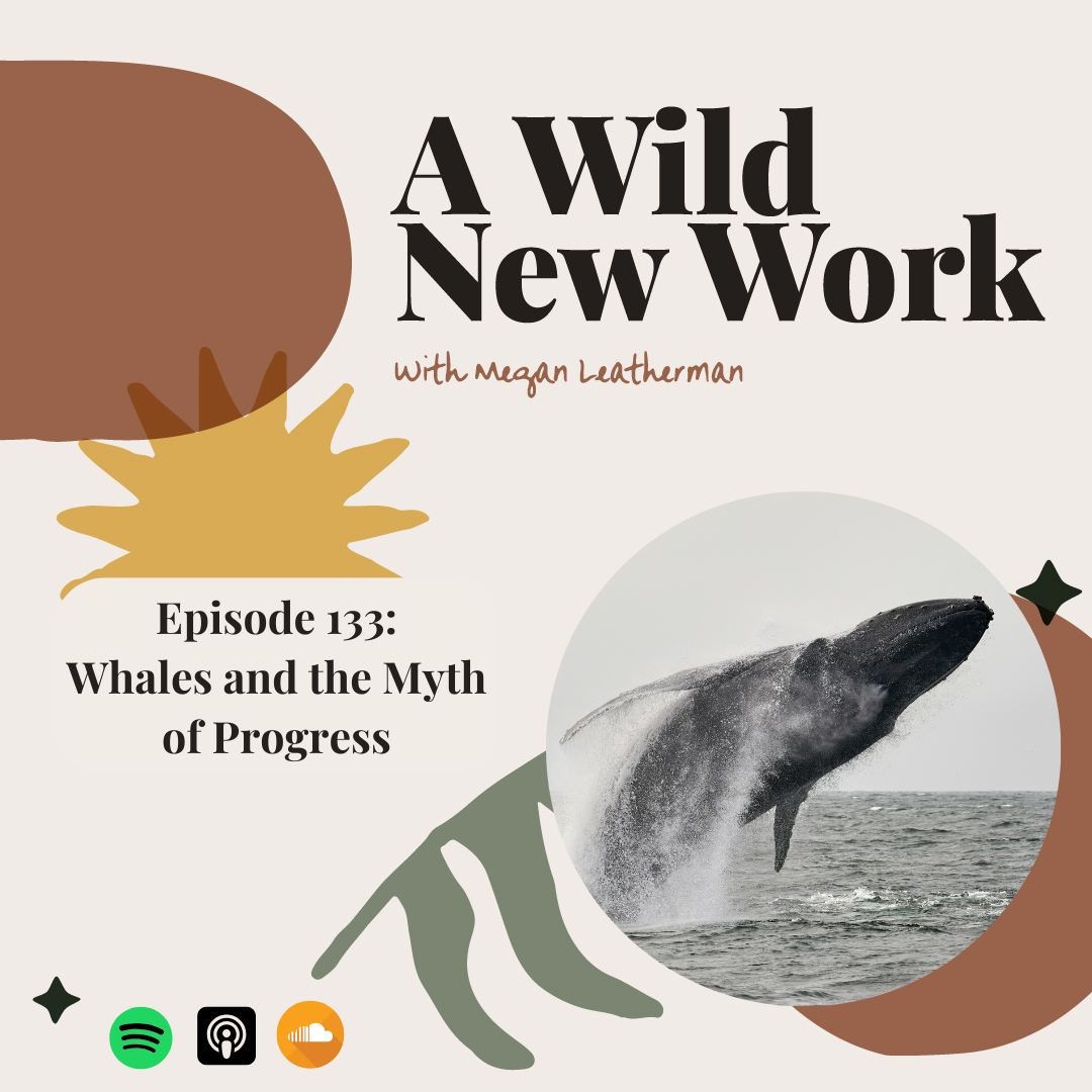 Whales and the Myth of Progress