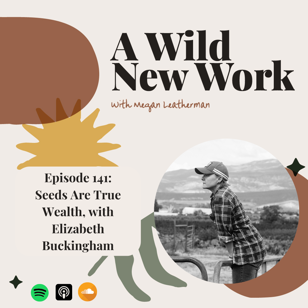 Seeds Are True Wealth, with Elizabeth Buckingham