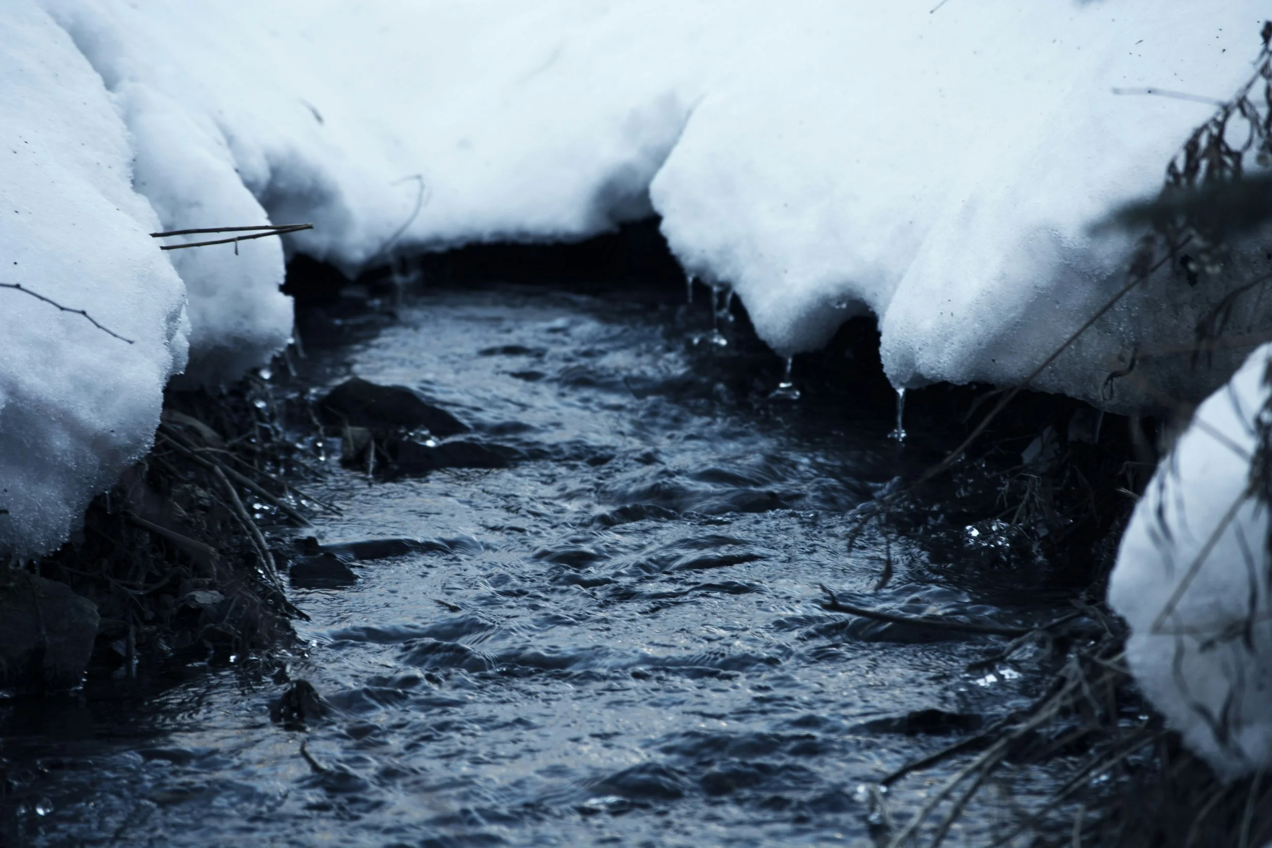 Flowing with Fear