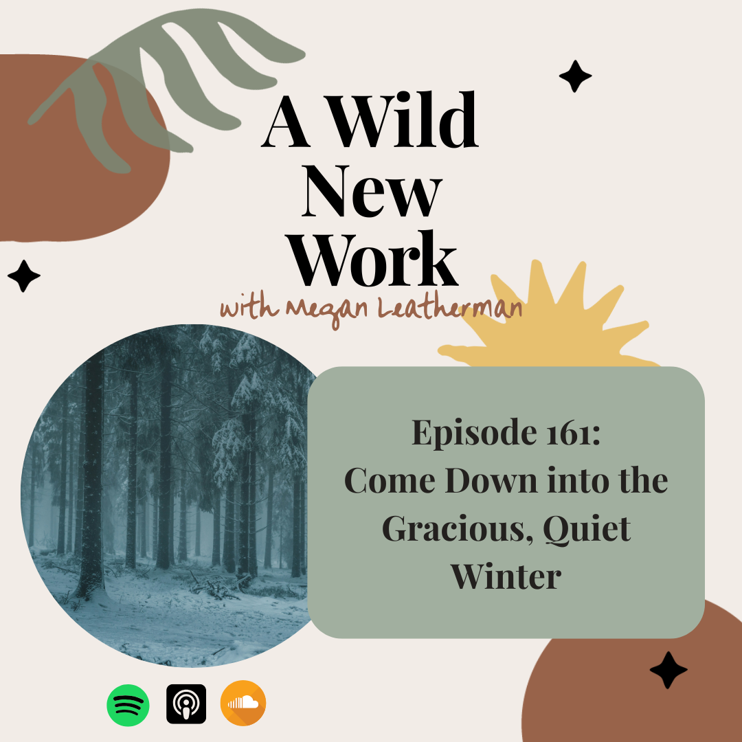 Come Down into the Gracious, Quiet Winter