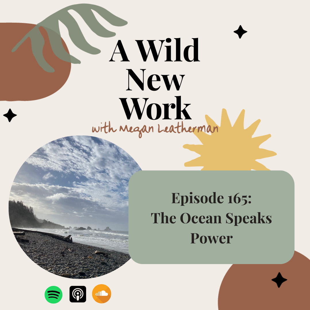 The Ocean Speaks Power