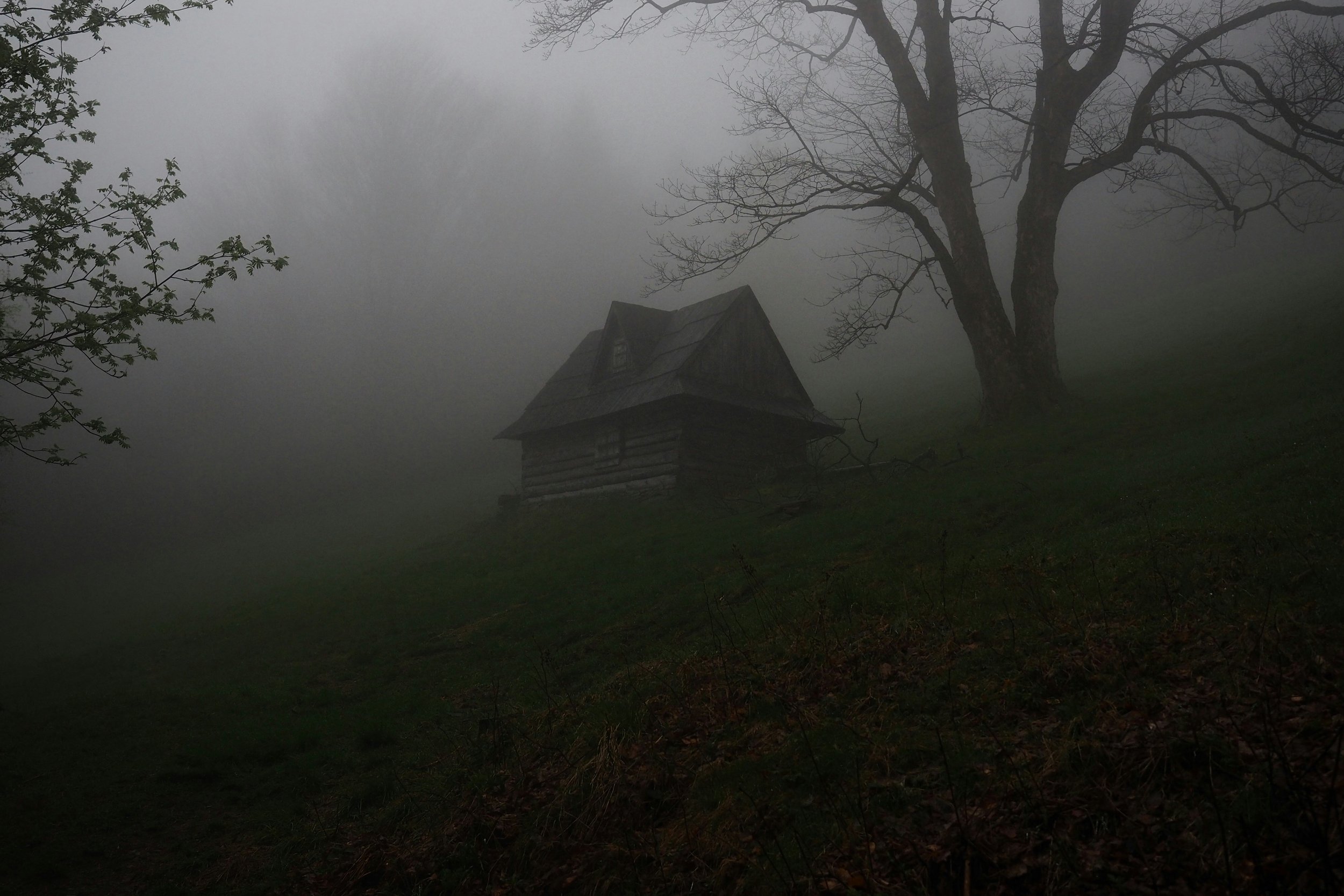 Ancestor Speak: How to communicate with your mighty dead