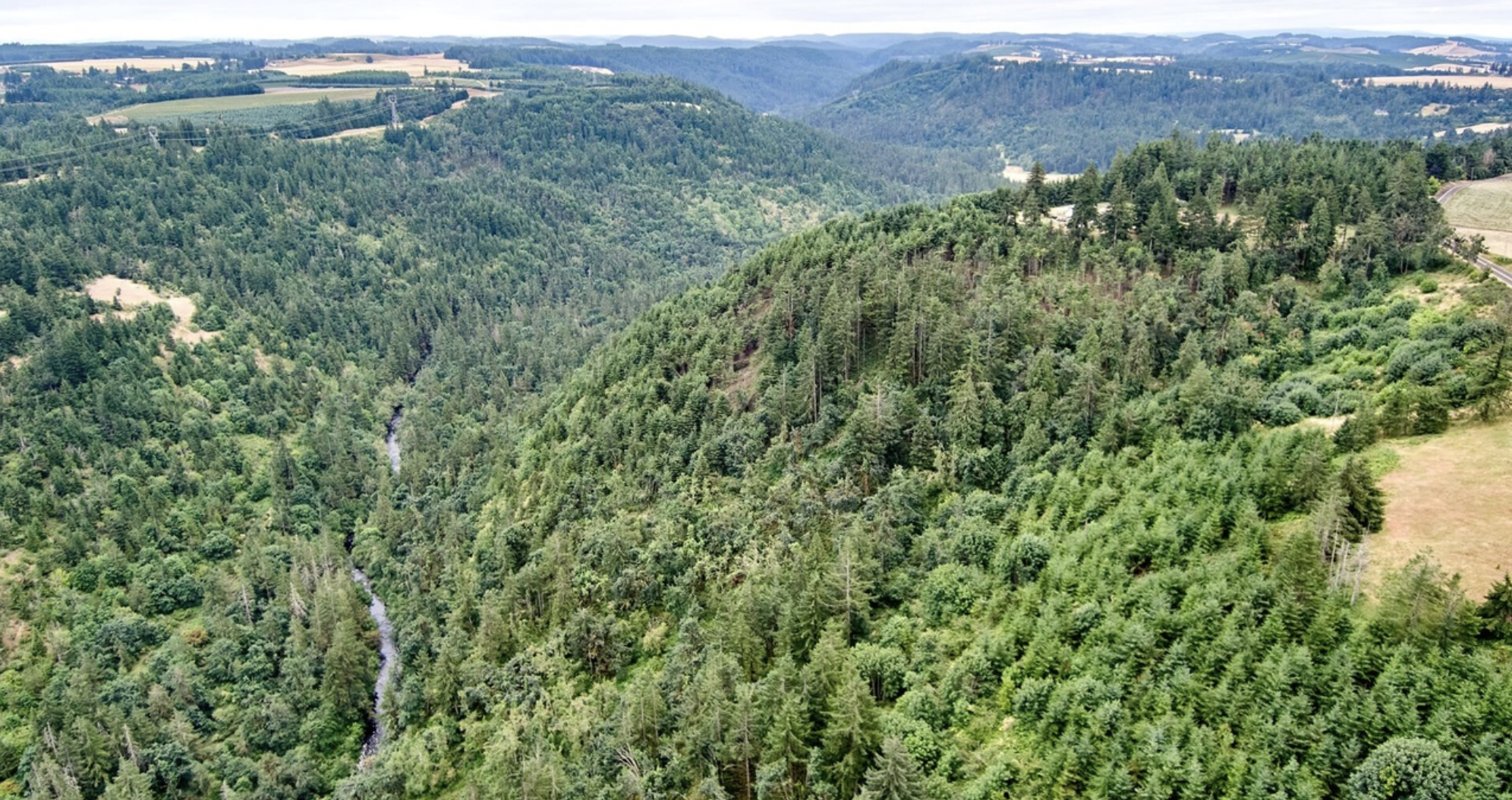 Silver Creek Canyon: Community Call