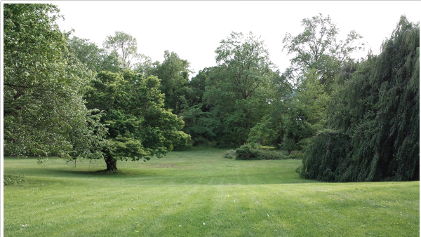 Screen Shot 2015-06-11 at 4.27.22 PM.png