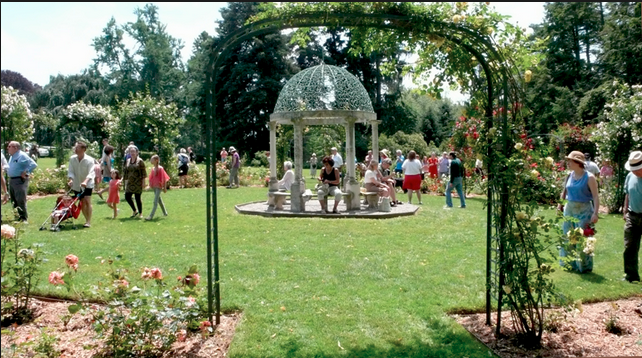 Screen Shot 2015-06-11 at 4.29.12 PM.png