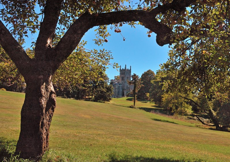 Screen Shot 2015-06-11 at 4.33.22 PM.png