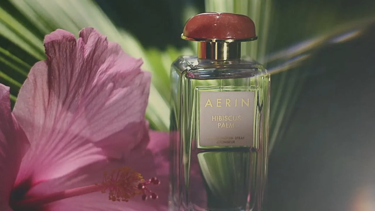 aerinhibiscuspalmthumbnail.jpg