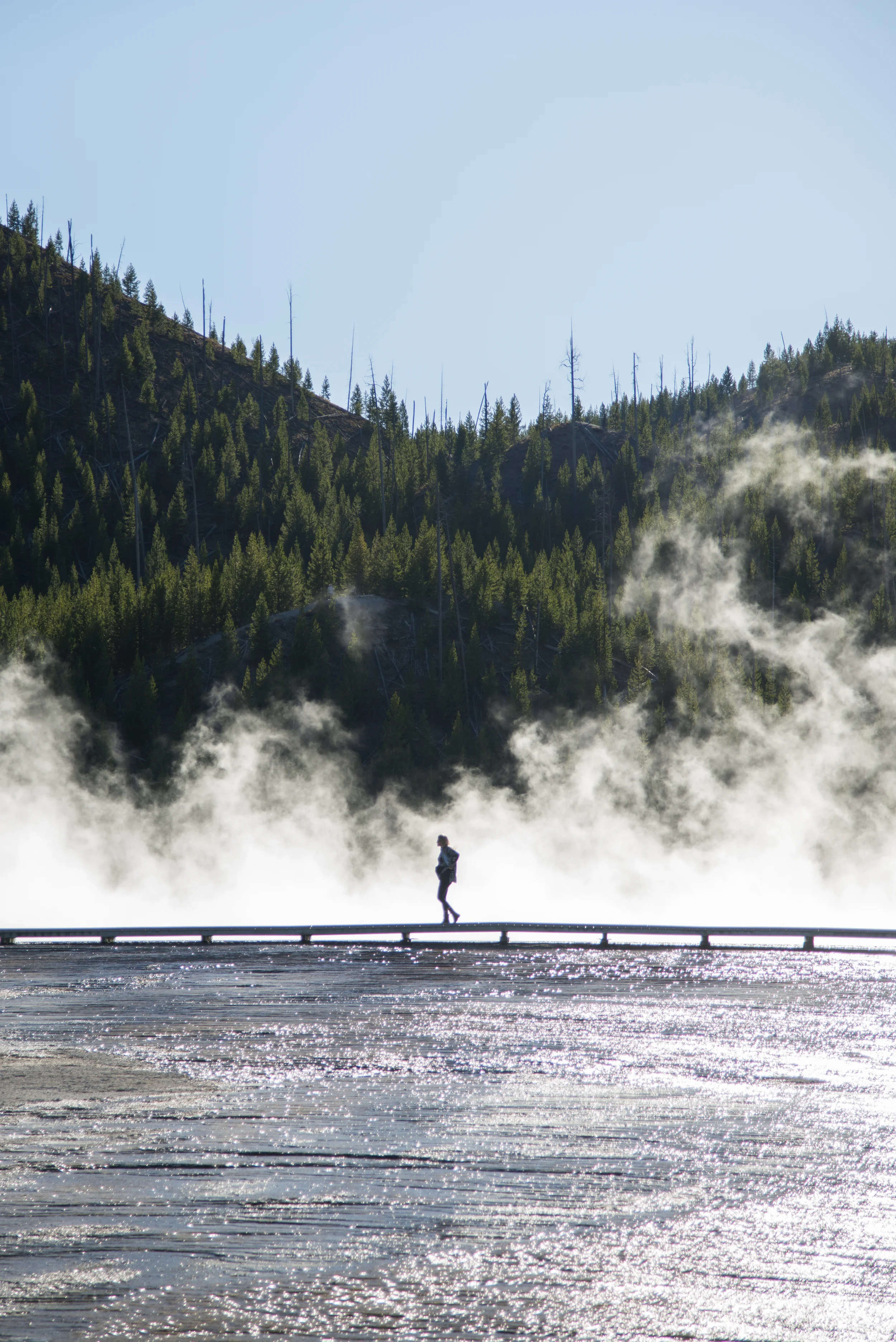 _DSC9974.jpg