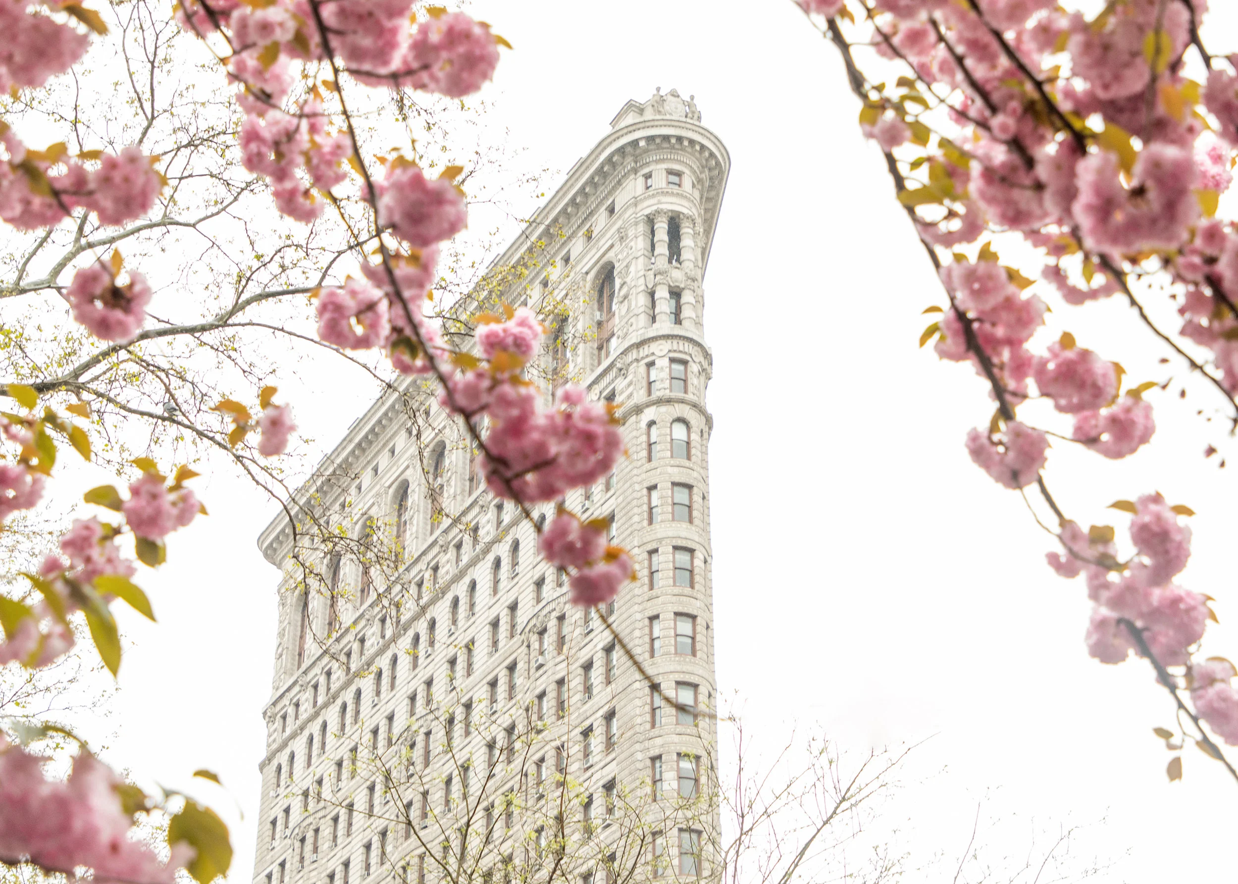 FlatIron_1.jpg