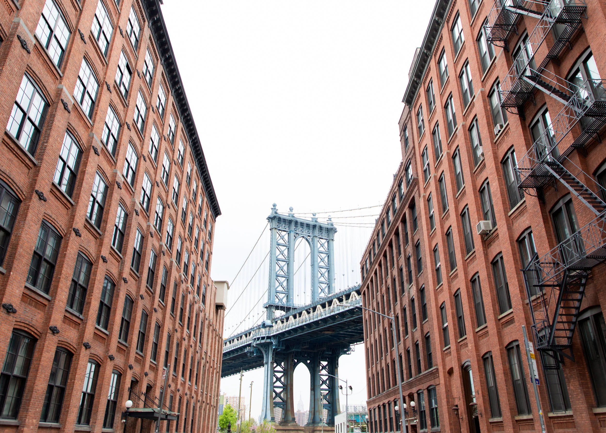 DUMBO.jpg