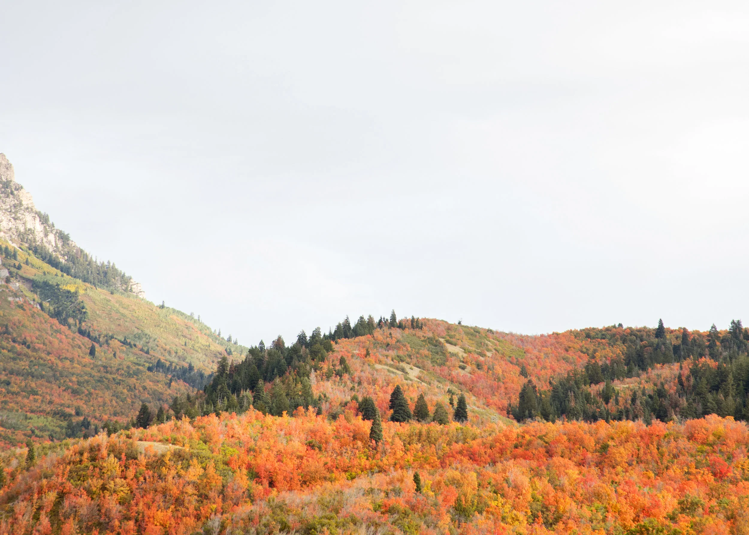Fall_Utah.jpg