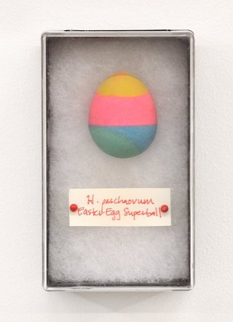   Hypersphaera paschaovum   Easter Egg Superball  July 18, 2011  5"x 3"x 2 1/16"   Classification    Available for purchase  