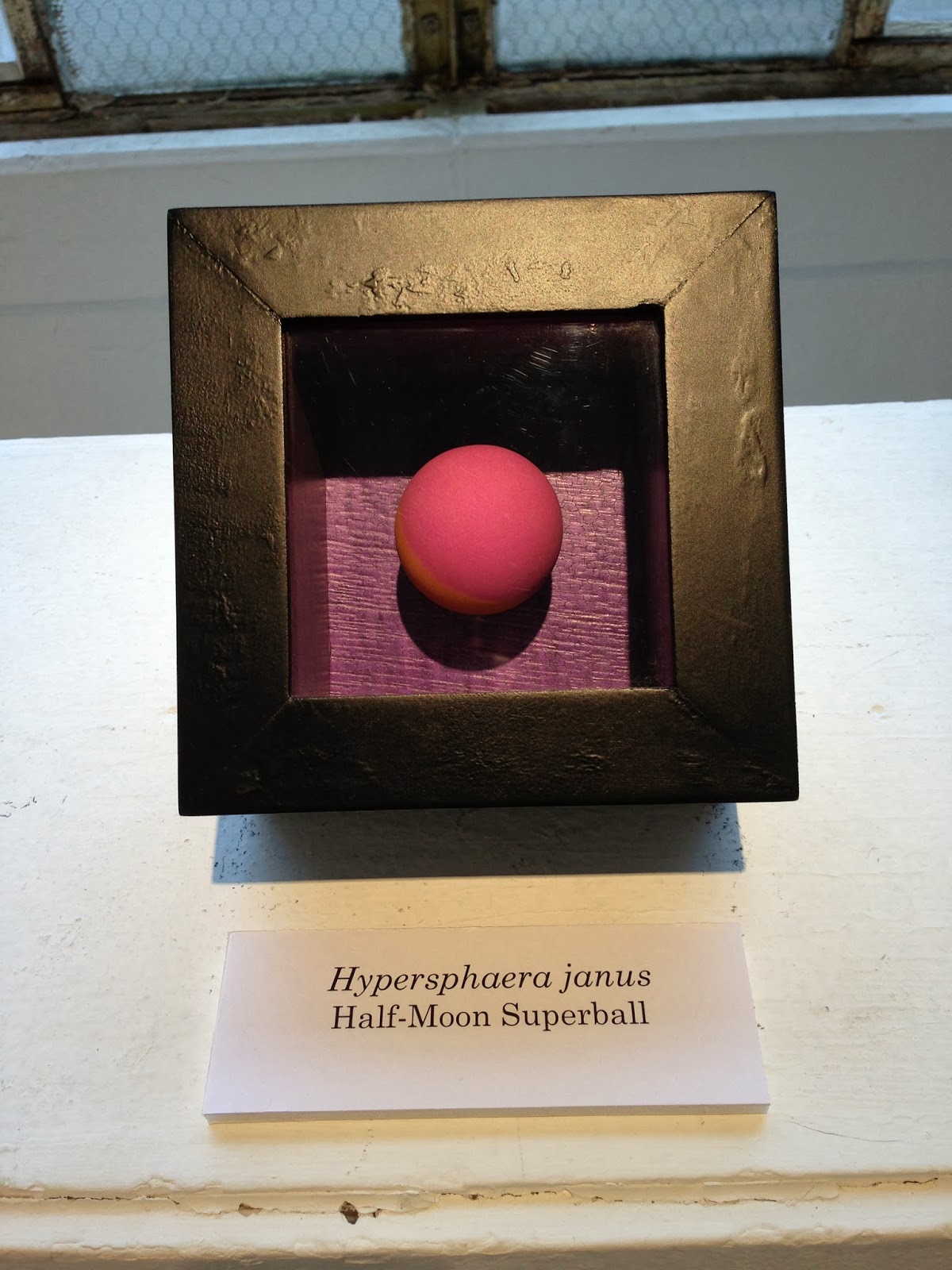   Hypersphaera janus   Half-Moon Superball  November 18, 2013  5 7/16"x 5 7/16"x 2 7/8"   Classification    Available for purchase  
