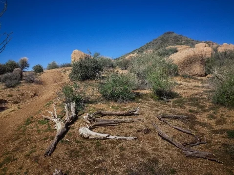 Brown’s Ranch , North Scottsdale, AZ 2015 Archival pigment print 24 x 18 in