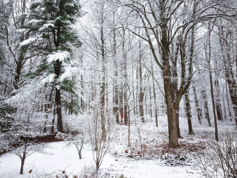 Whippoor-Will-Hill , Laughlintown, PA 2014 Archival pigment print 18 x 13 in