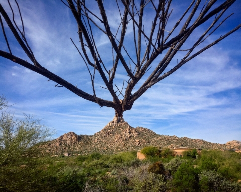 Pinnacle Peak Scottsdale, AZ 2015 Archival pigment print 13 x 16 ½ in 