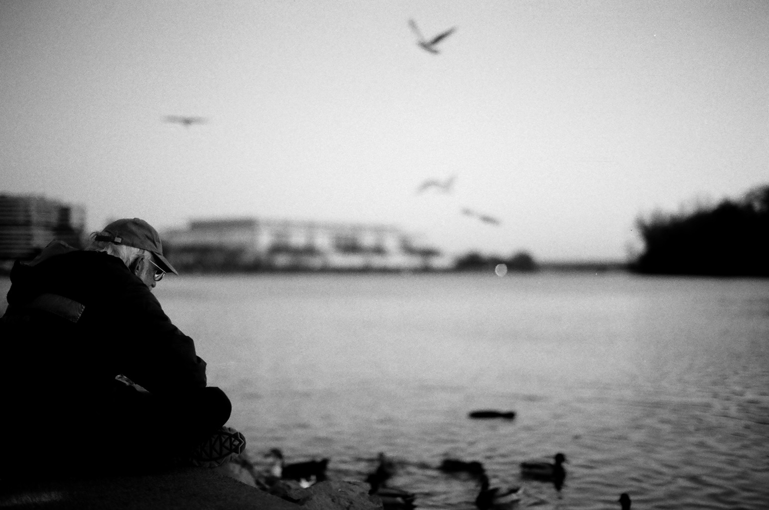 Ilford 125 ISO film, Canon 7Ne SLR, and Canon 50mm f/1.2 lens, probably at f/1.2 or thereabouts. This on the Potomac River, with the Kennedy Center in the background.