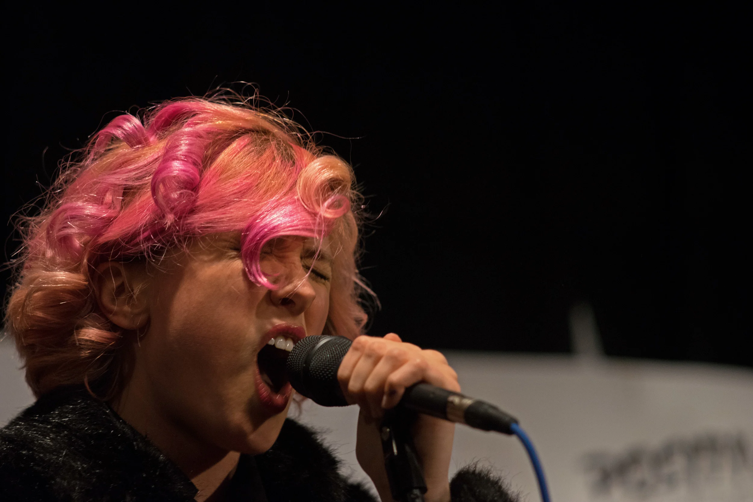 I love the stray hairs against the black background, as well as the black fur against the white background. Shutter: 1/40, f/3.5, ISO: 2000. I usually won't push the ISO anywhere near that high, but the venue was rather dark this band's movements are so frenetic that faster shutter speeds were needed!