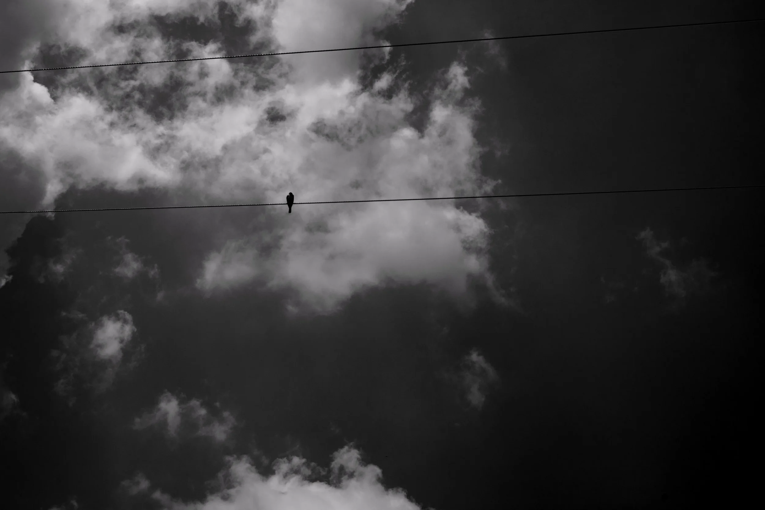 Helios 44-2. Shutter: 1/1000, f/11, ISO: 100. Extra tweaking in editing to turn the gloomy up!