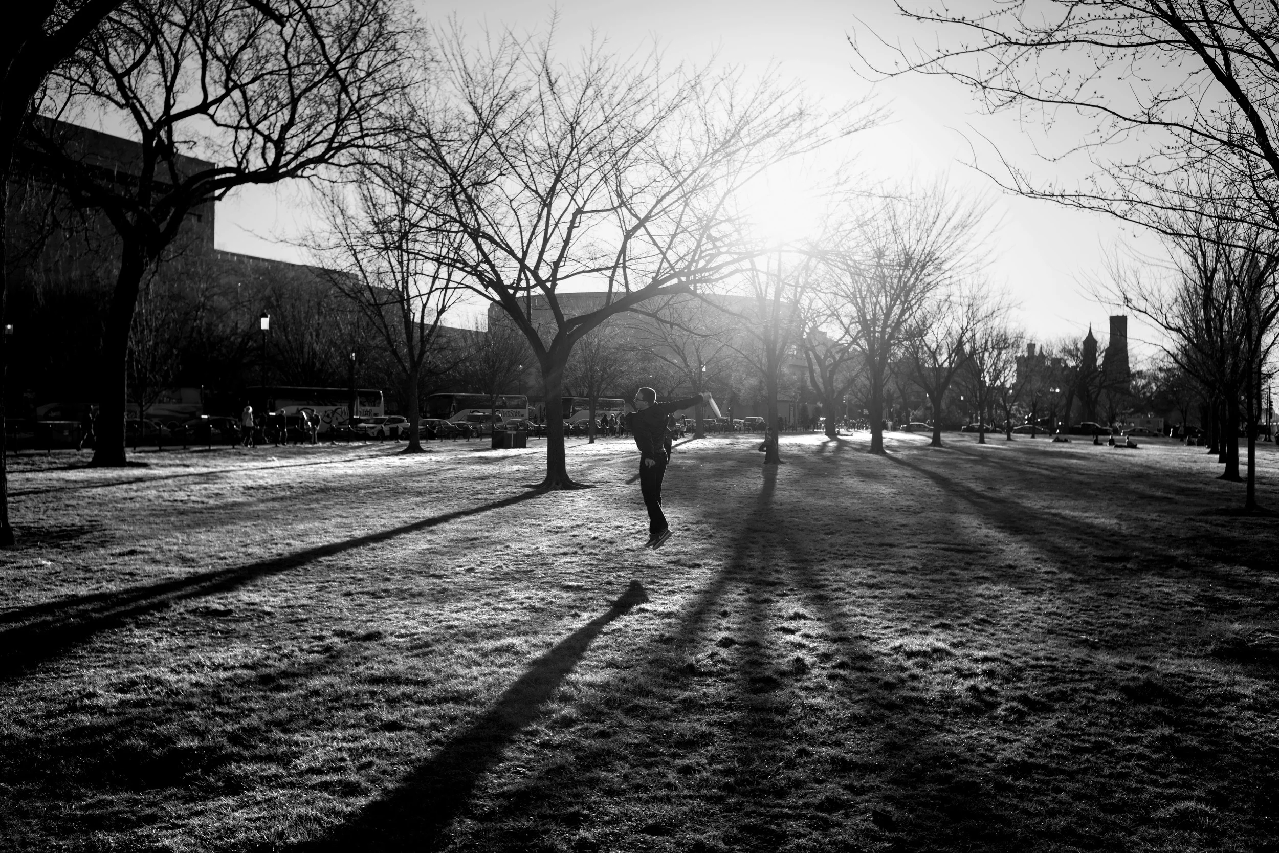 Uncropped image. Shutter: 1/125, ISO: 100, Aperture: f/11 probably.
