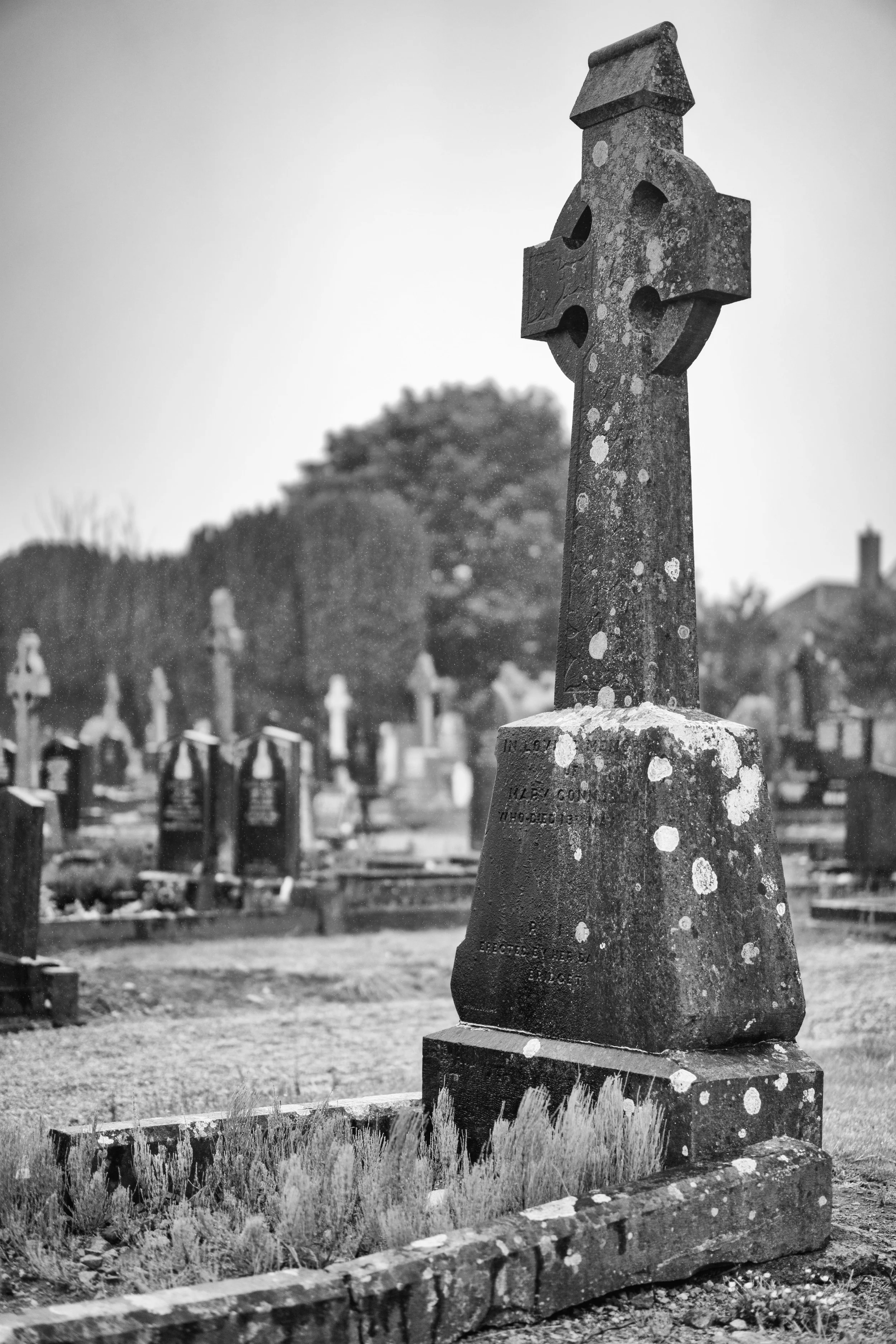I should've left some flowers, but I was a bad great, great, great grandson. Next time! Shutter: 1/1600, ISO: 200, f/1.8.