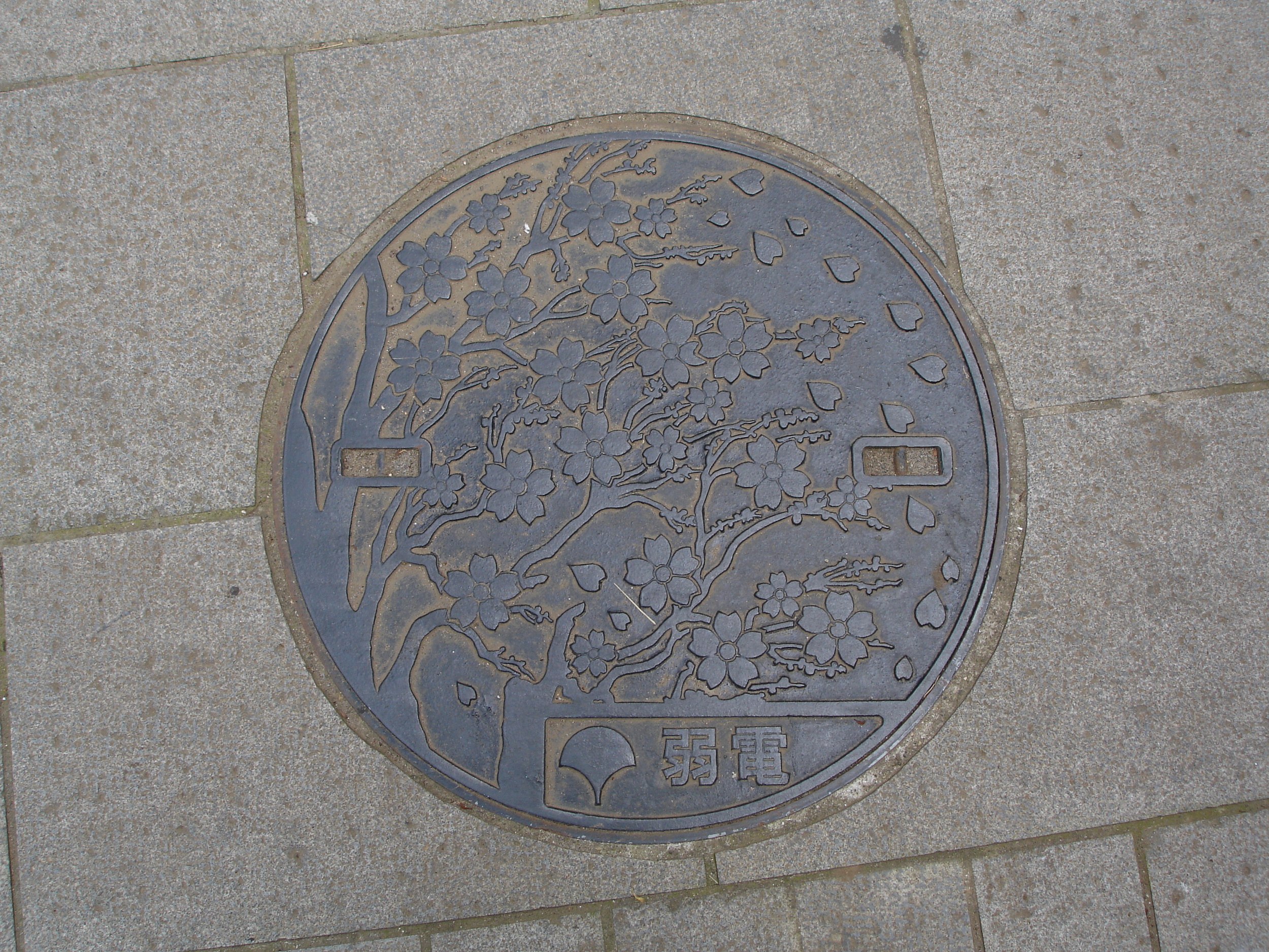 Ueno Park, Tokyo, Japan- Photo by Seth Amman