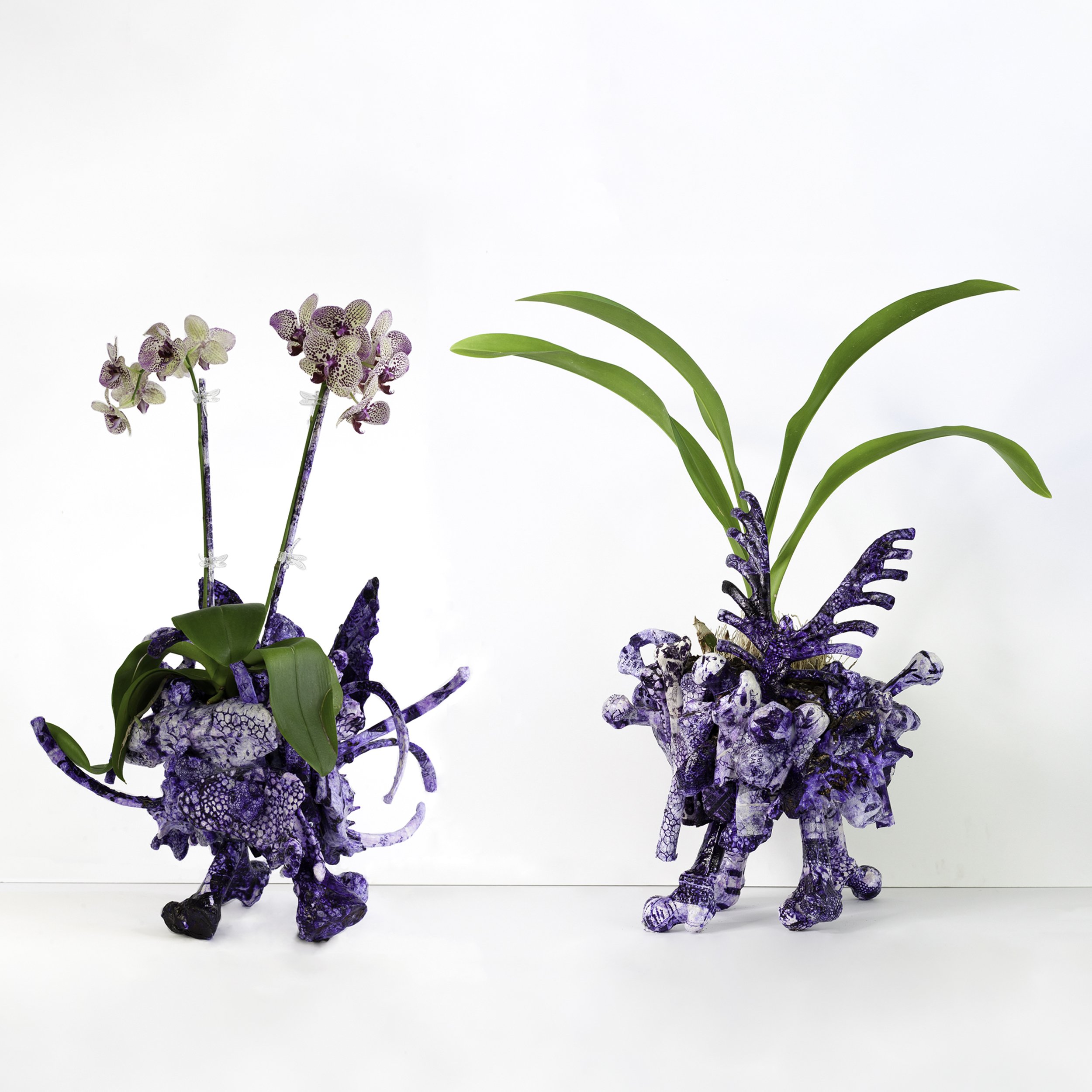 orchid bones planter 03 & 04