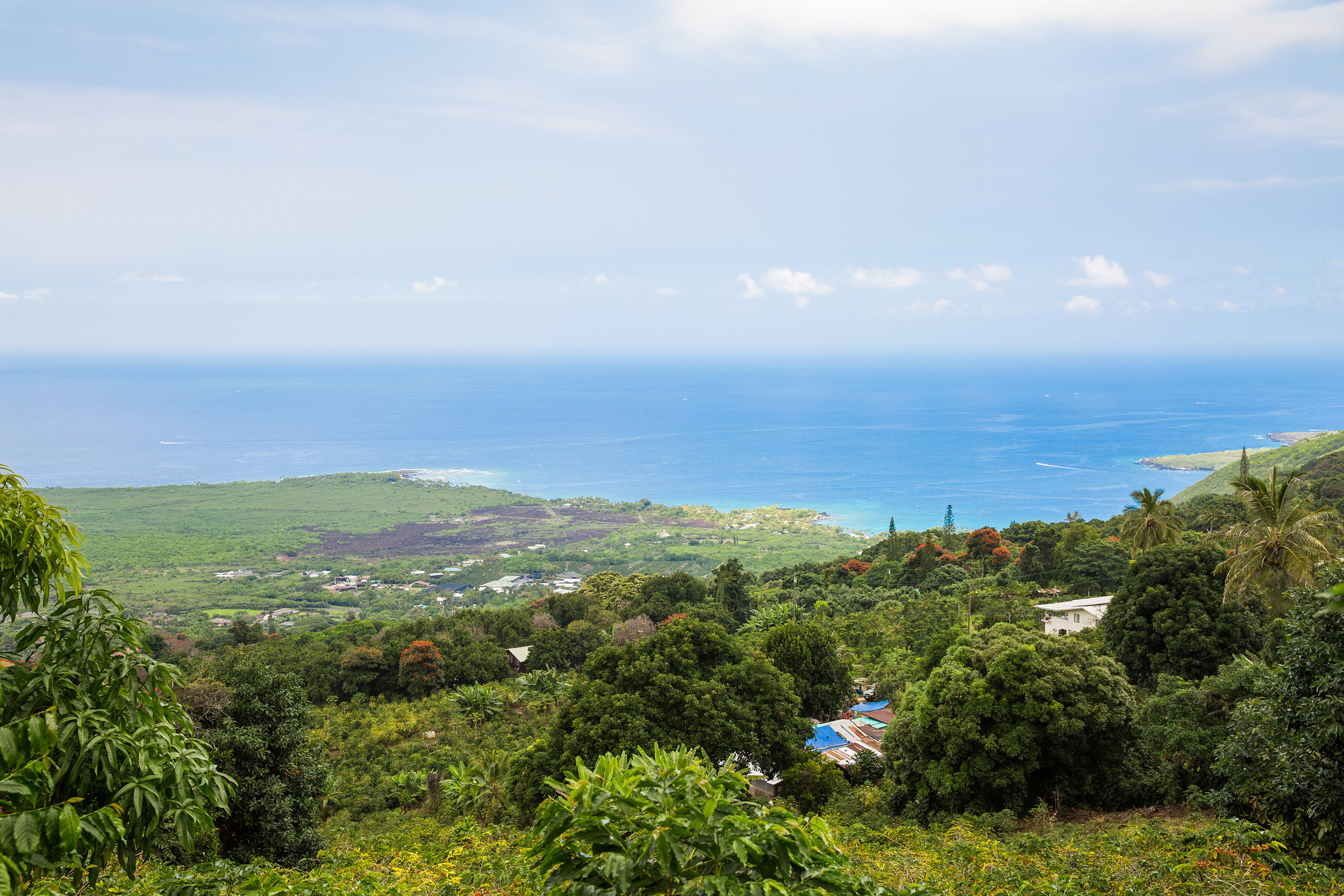 hawaii-day-one-031.jpg