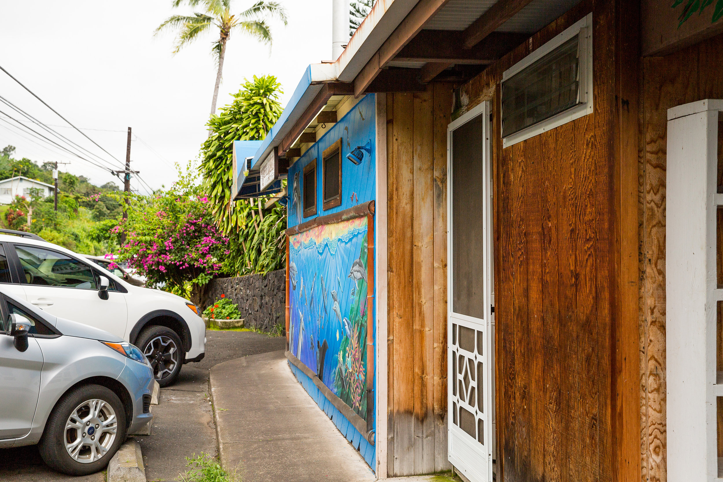 hawaii-day-one-033.jpg