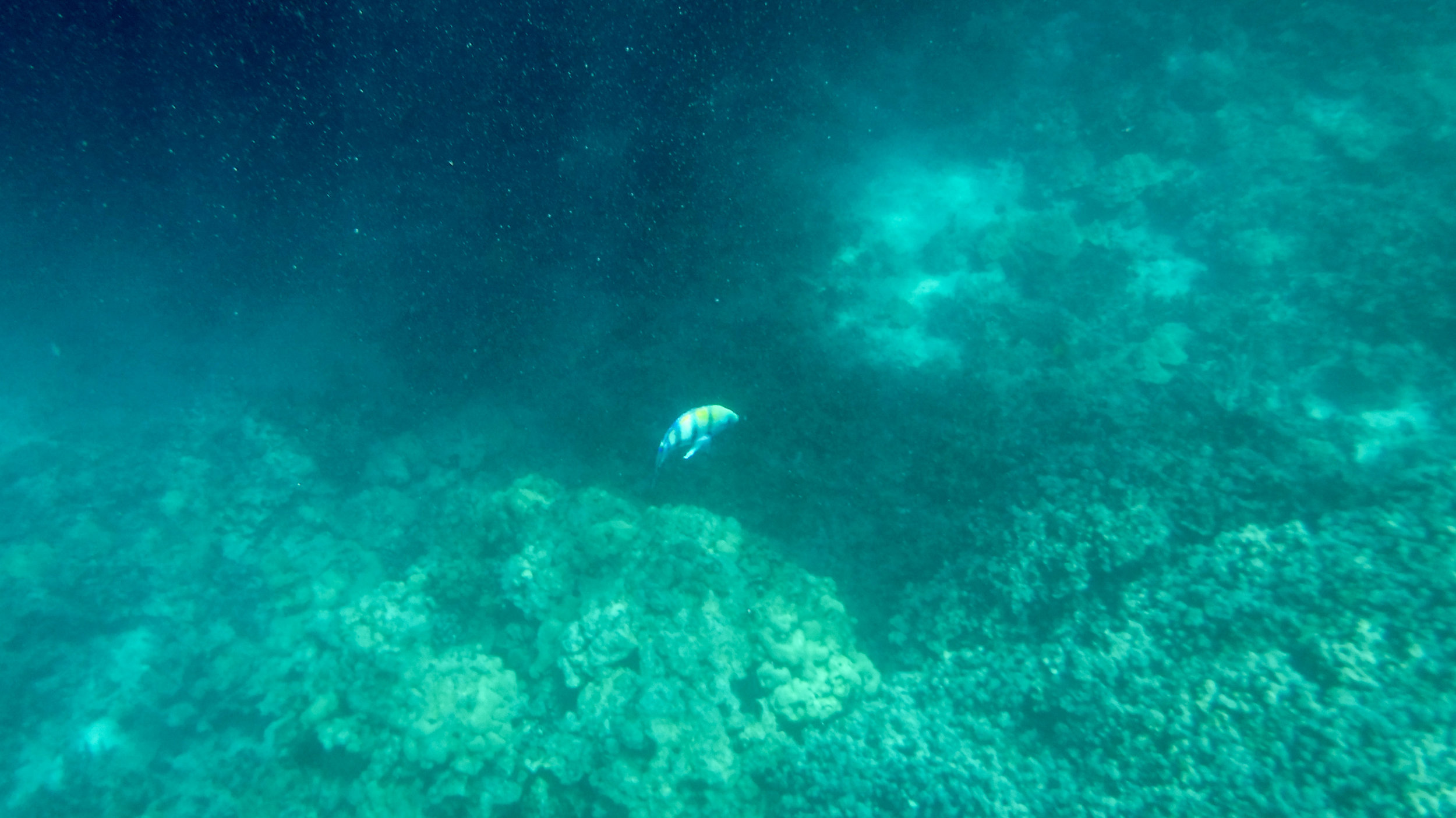 hawaii-day-two-057.jpg