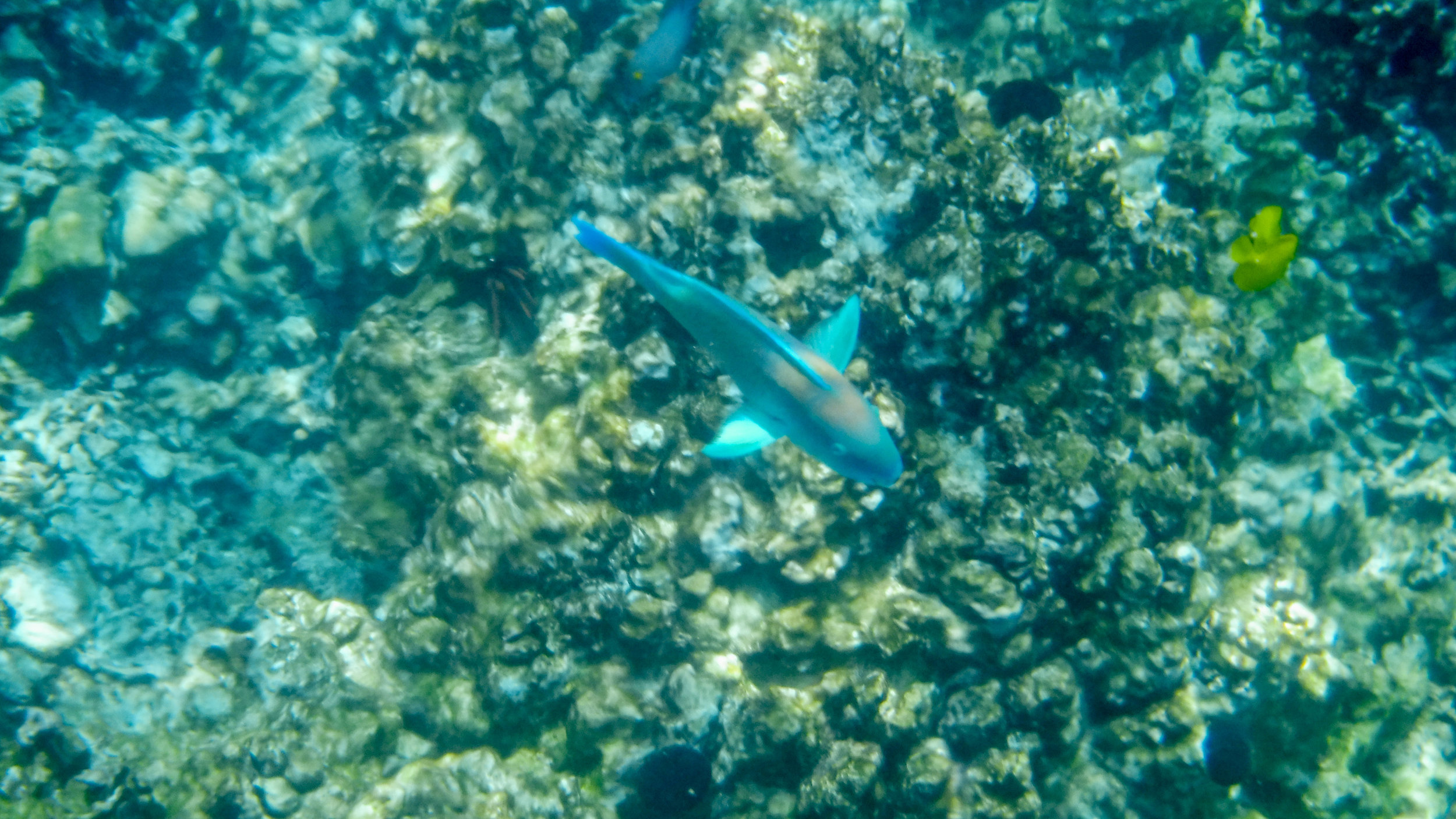 hawaii-day-two-075.jpg