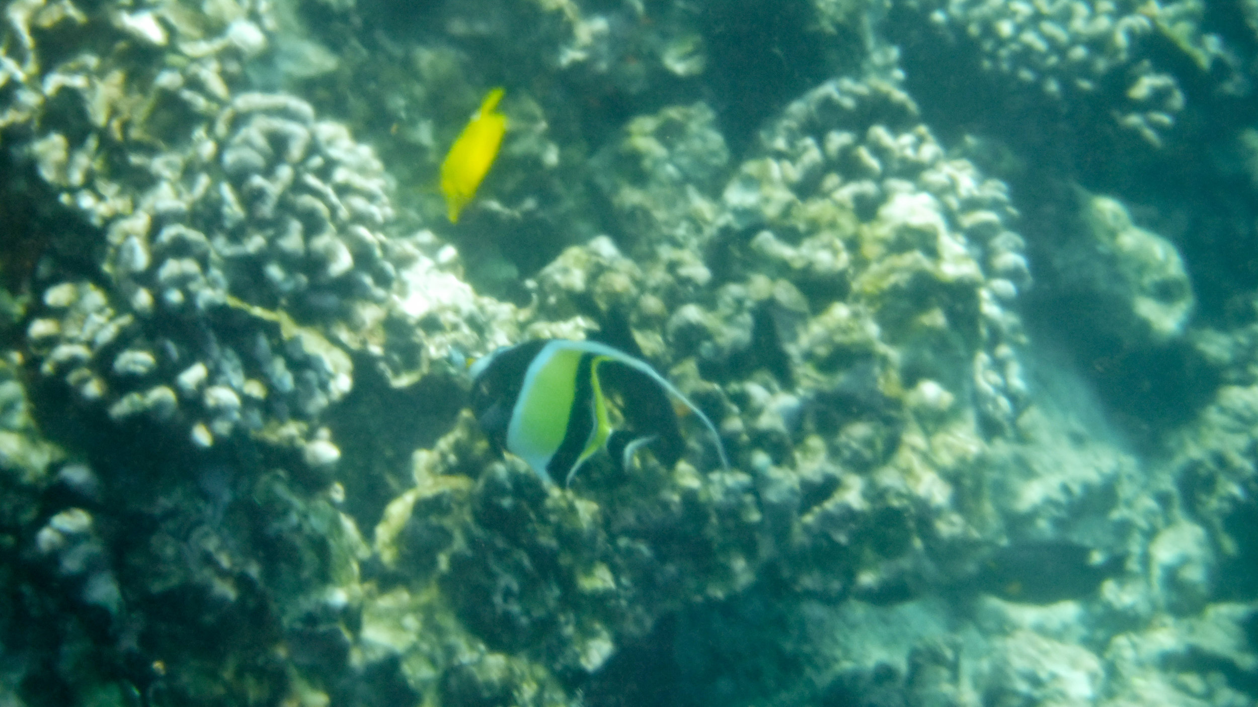 hawaii-day-two-079.jpg