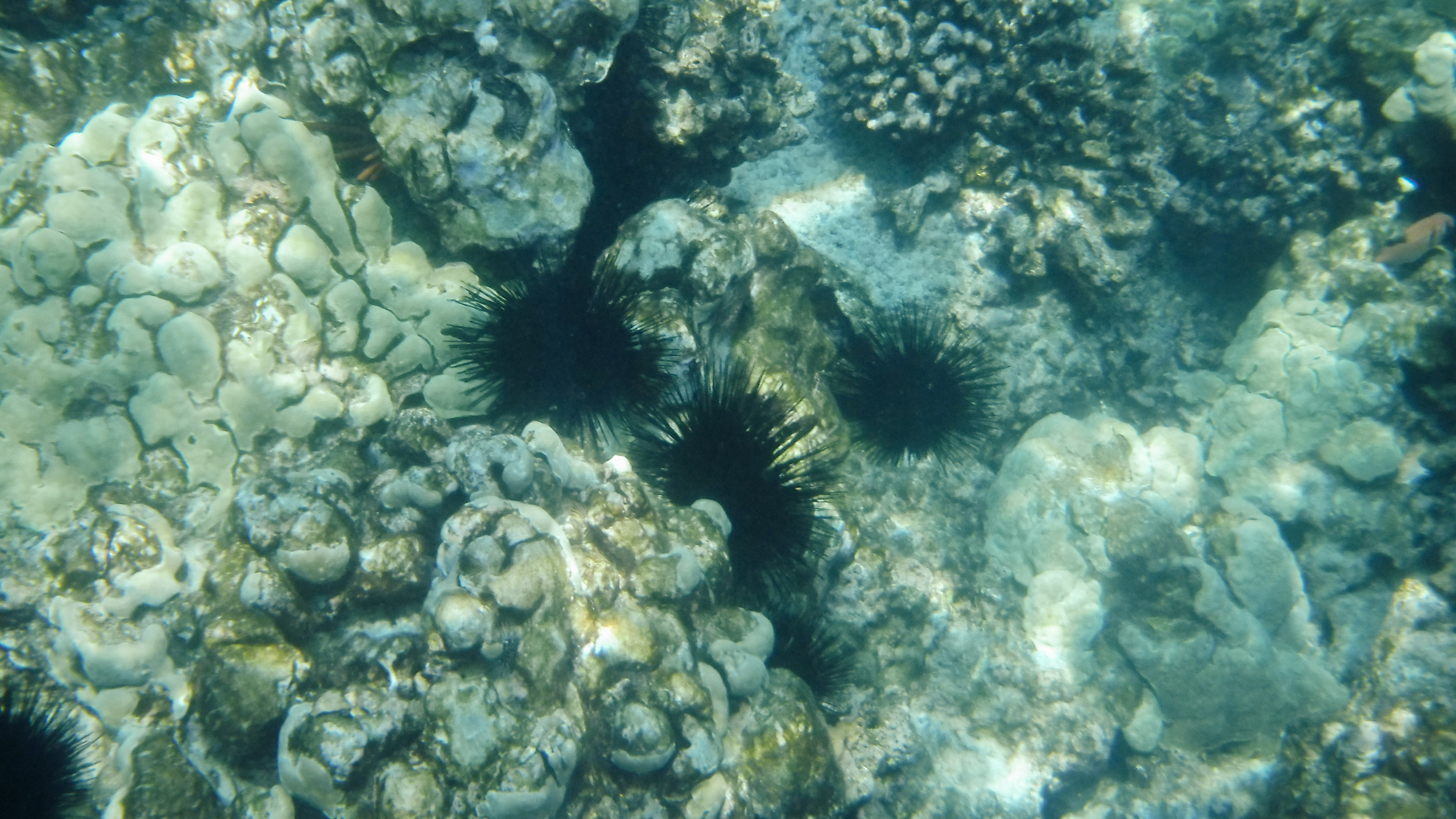 hawaii-day-two-094.jpg