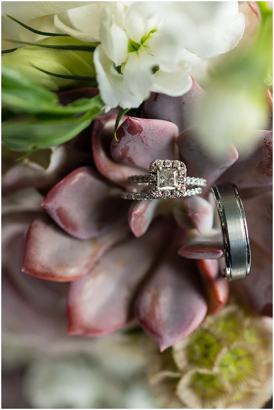 AMBASSADOR-HOUSE-FISHERS-PHOTOGRAPHERS-WEDDINGS_4067.jpg