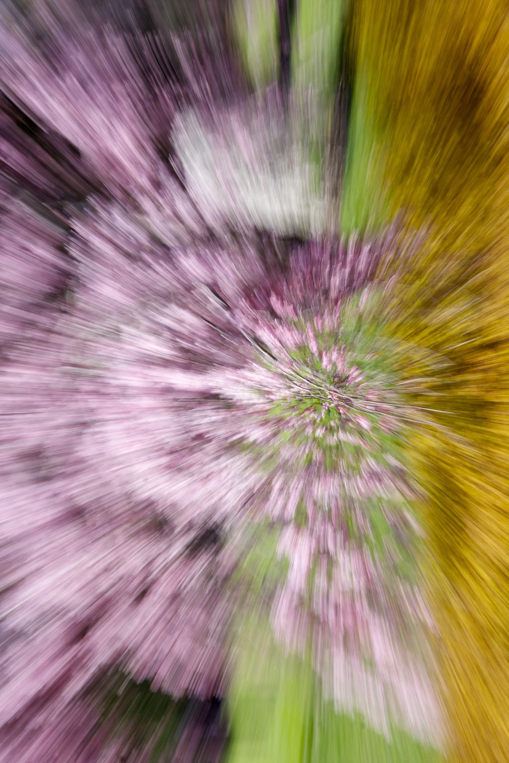 splash