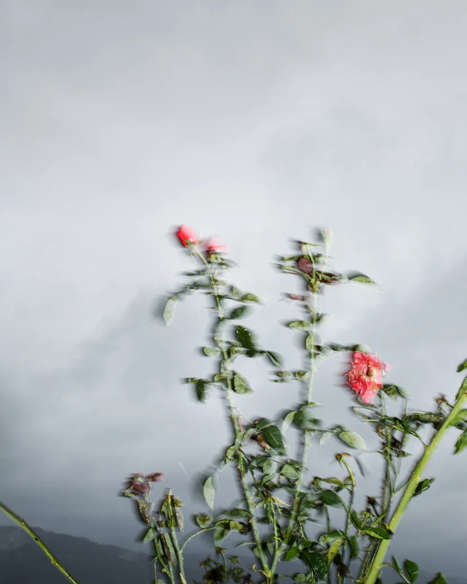 _E0A6614.jpg