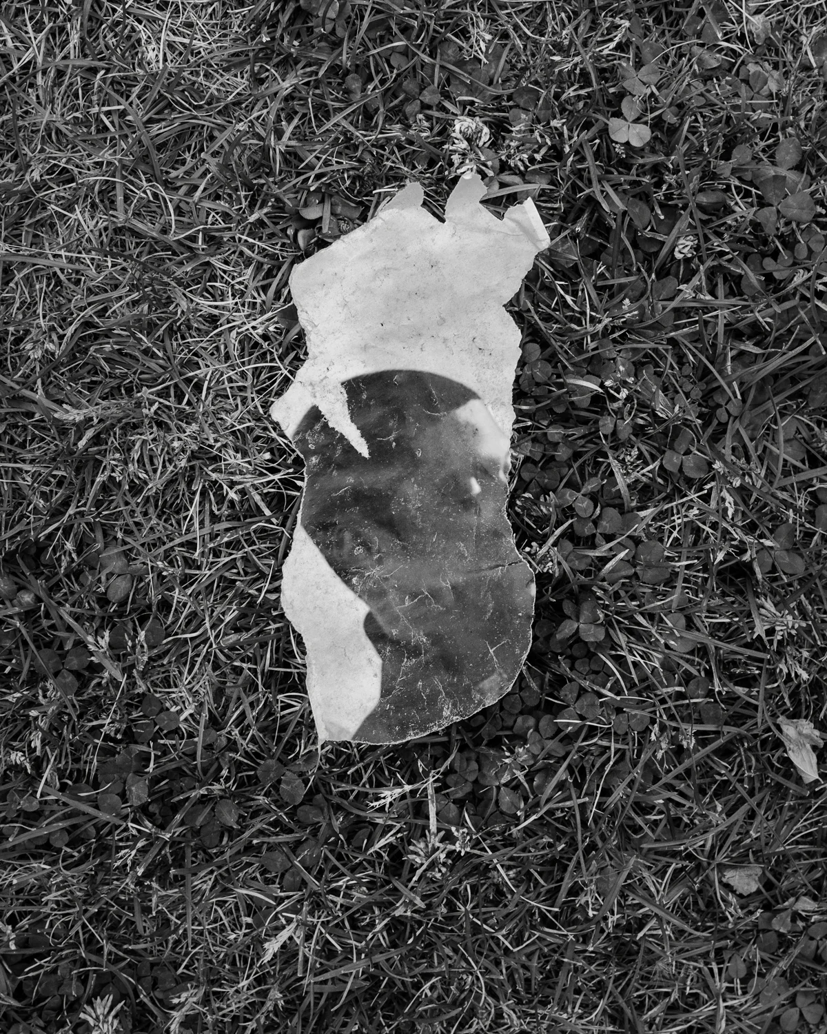 _DSF2487 as Smart Object-1.jpg
