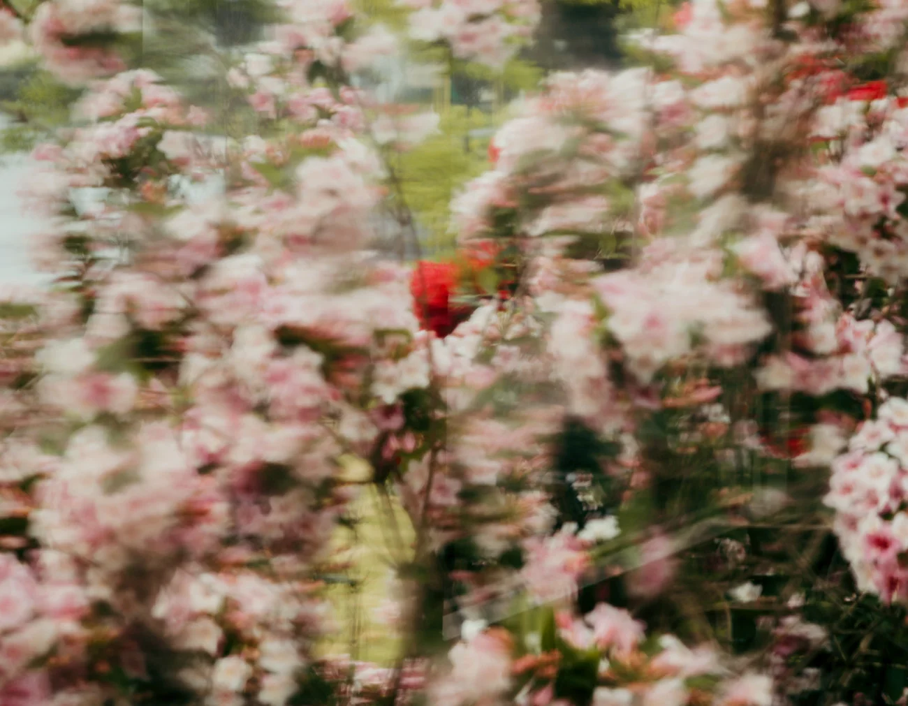 untitled-1518.jpg