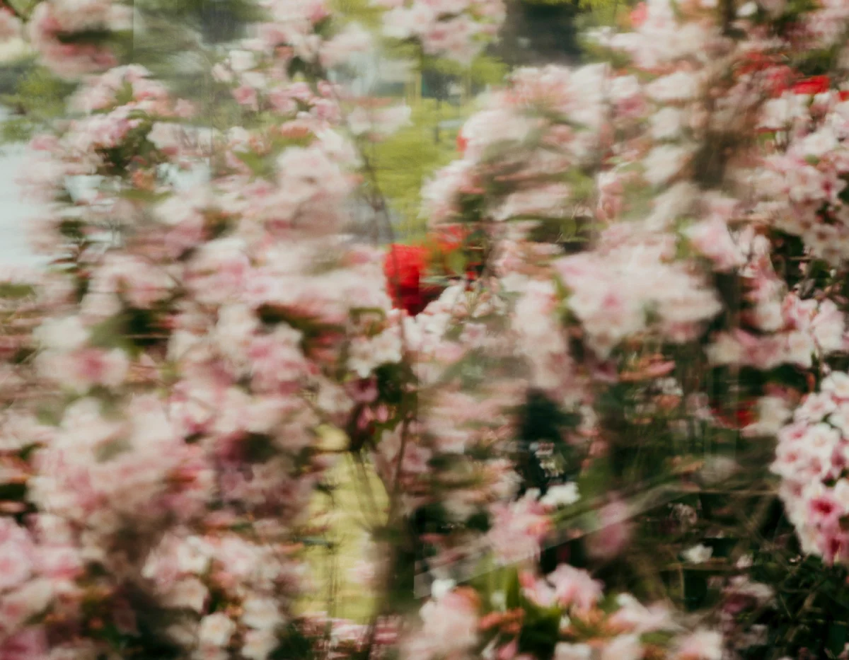 untitled-1518 copy.jpg