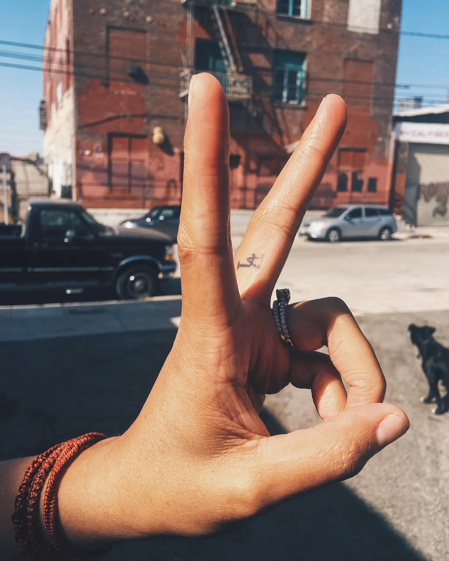 PEACE.jpg