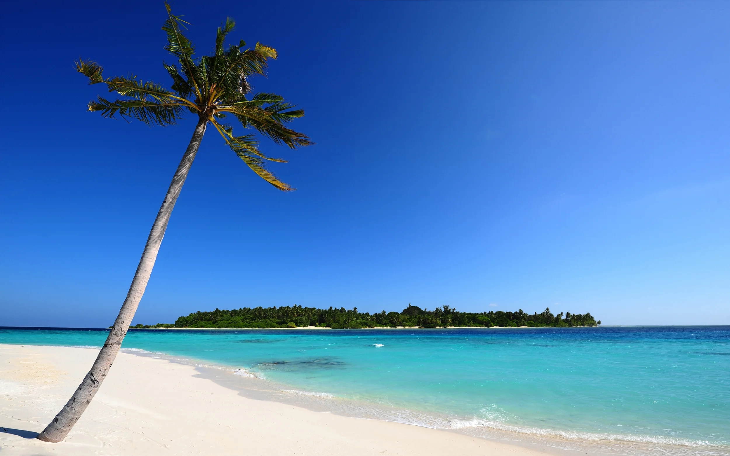 free-powerpoint-backgrounds-beach.jpg