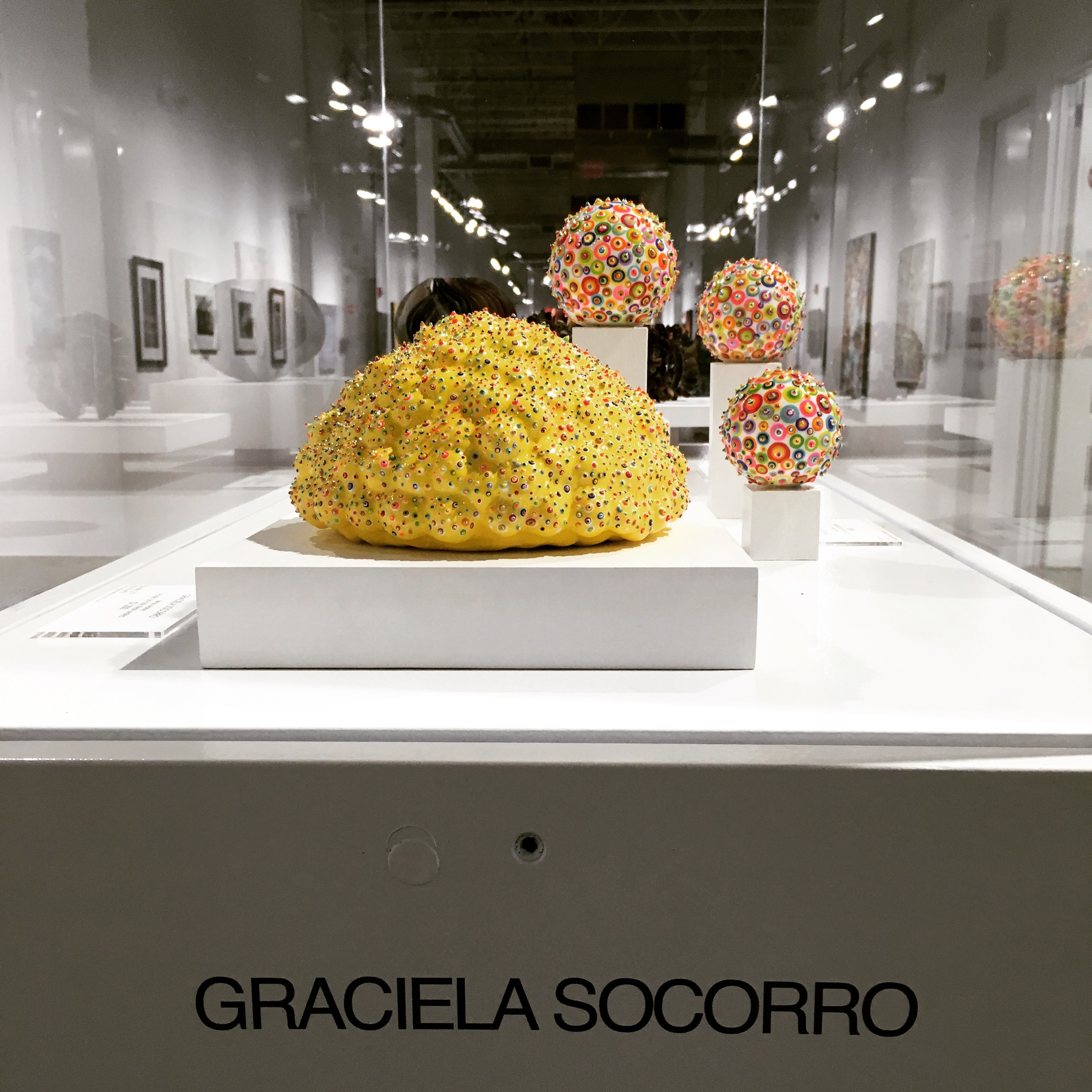  Graciela Socorro's work at the Collective Perceptions.