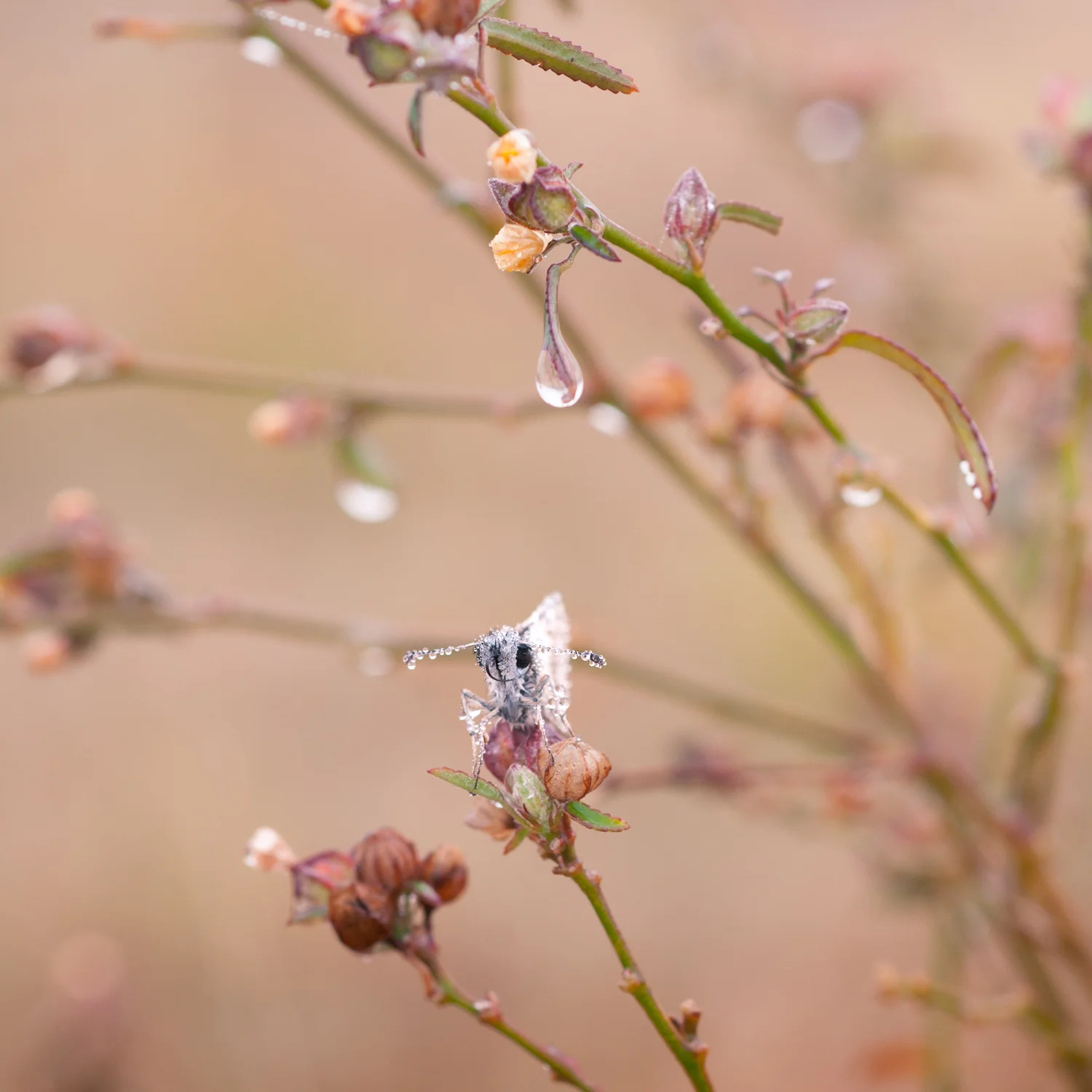_DSC9714-Edit.jpg