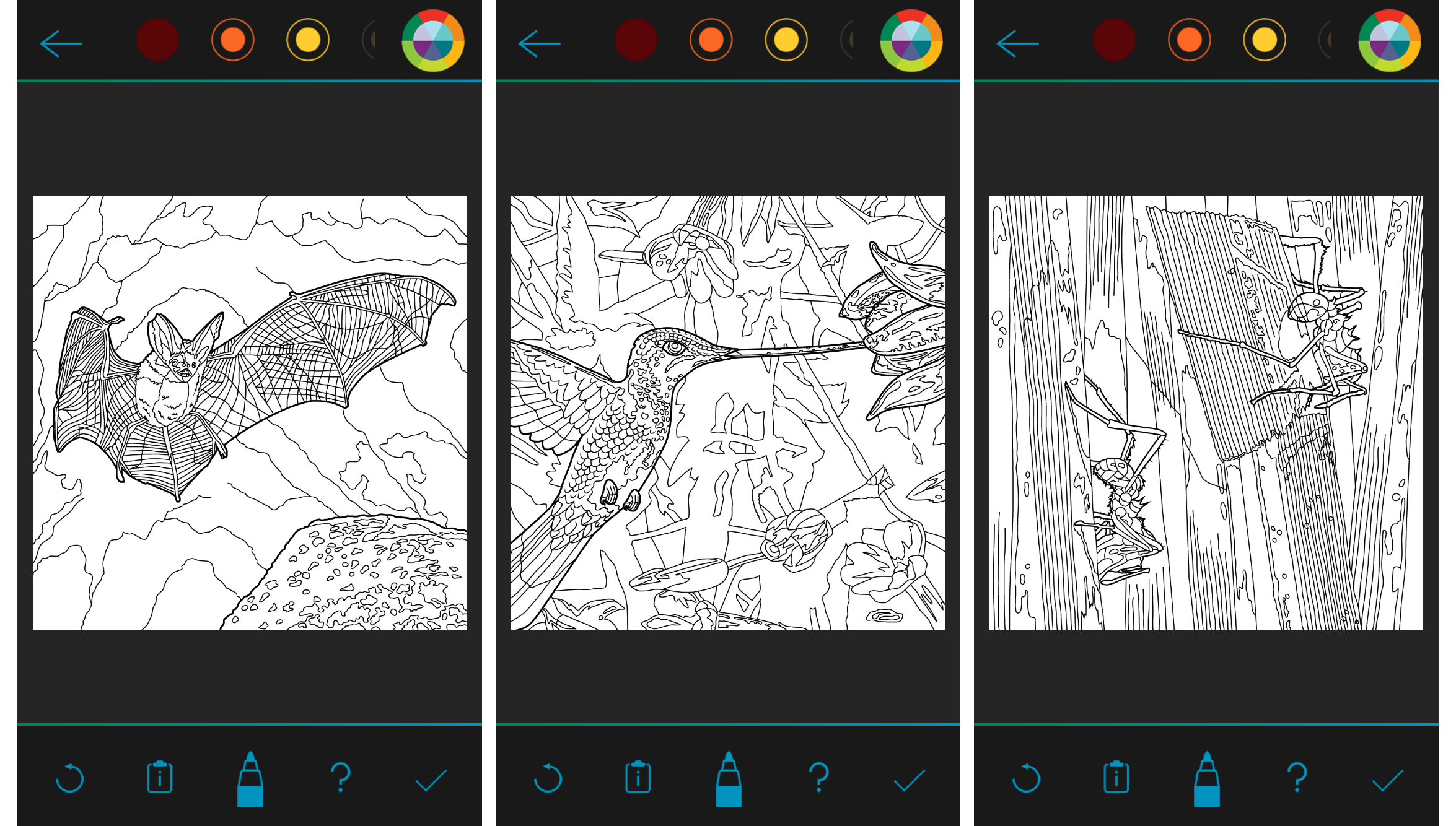 B&W images.png